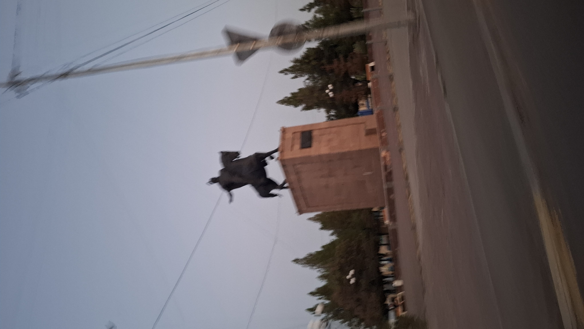 An equestrian statue is depicted against a pale sky, likely at dusk or dawn. The statue, a dark silhouette, features a rider on a horse, mounted on a large, reddish-brown stone pedestal. The pedestal has a plaque on its side. In the background, a line of trees separates the monument from a street or plaza. A utility pole with wires is visible on the right side of the frame, partially obscuring the sky. The foreground shows a paved surface, likely a road, with a yellow line marking its edge. The overall image has a blurry quality, suggesting movement during capture. This monument is recognized as the monument to Zhibek Zholy in Shymkent, Kazakhstan.