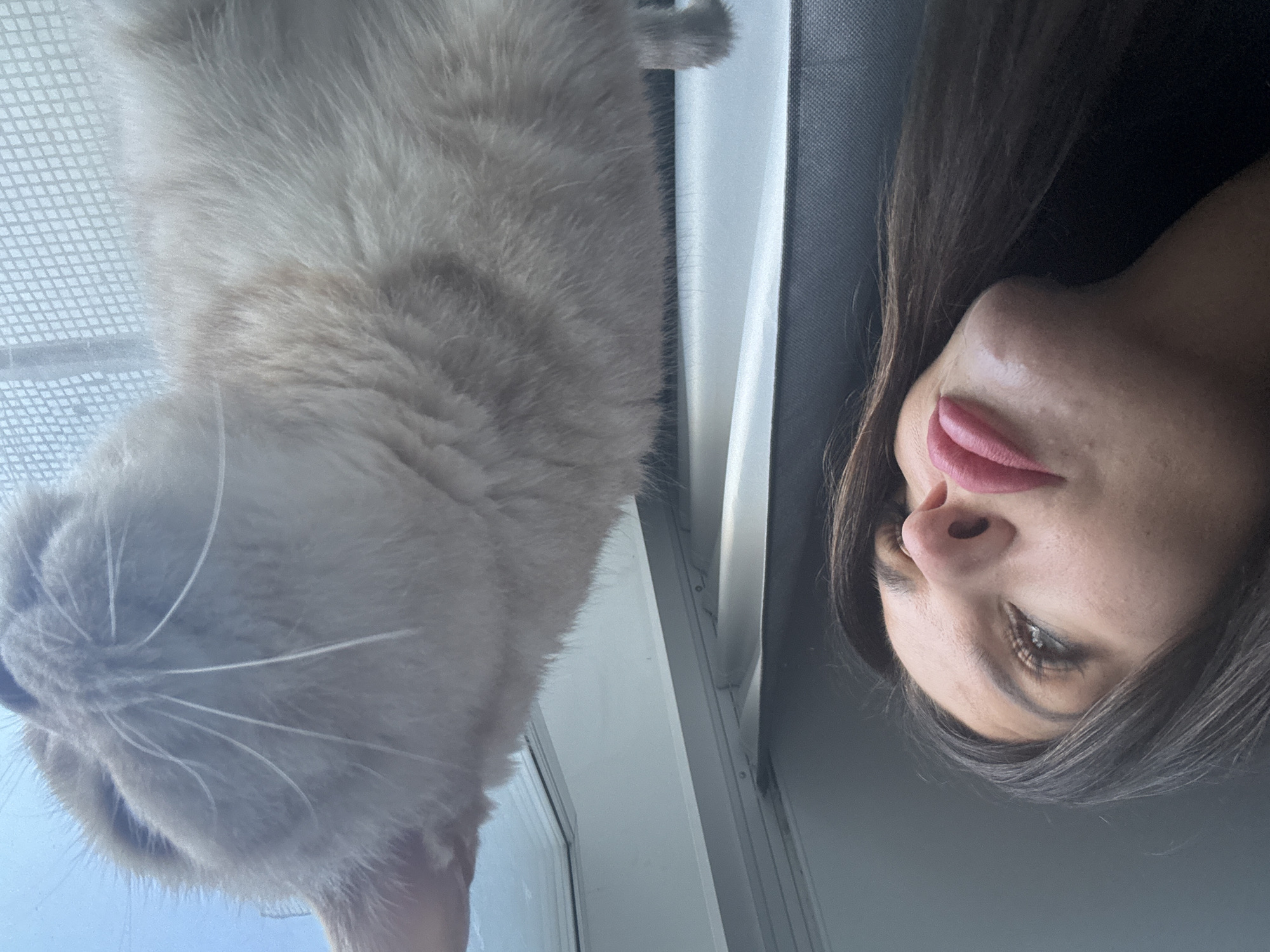 The media file shows a close-up, overhead shot of a person's face and a cat. The person, who appears to be female, is lying down and looking upwards. Her eyes are open, and her lips are slightly parted, revealing pink lipstick. Her dark hair is spread around her face. To the left of the person is a light-colored cat, also lying down, with its head facing downwards and its eyes closed. The cat's fur is fluffy and appears to be a mix of cream and light brown.
The setting appears to be indoors, near a window with a textured screen or blind. The lighting suggests it could be daytime, possibly late afternoon, given the soft, diffused light. The overall mood is relaxed and intimate, with the person and cat in close proximity, suggesting a comfortable and familiar relationship. There is no visible text in the image.