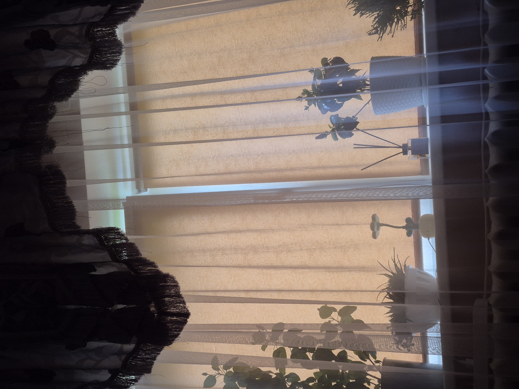 The image shows a window with sheer curtains overlaid with darker valances featuring fringe. Inside, on the windowsill, are several potted plants. To the left, a large plant with green leaves is visible in a dark pot. Next to it is a white ribbed pot containing an aloe vera plant. Further to the right, another plant with dark green leaves and buds is in a white patterned pot. Beside this plant is a dark glass diffuser with reeds. To the far right, a small evergreen plant is placed. A small, flower-shaped lamp is also on the windowsill. The background behind the plants consists of a rolled-up blind. The overall lighting suggests it is daytime. The image is of a domestic interior, likely a home or apartment. There is no indication of the specific location within the city of Švenčionys, Lithuania, but the context suggests a residential setting.