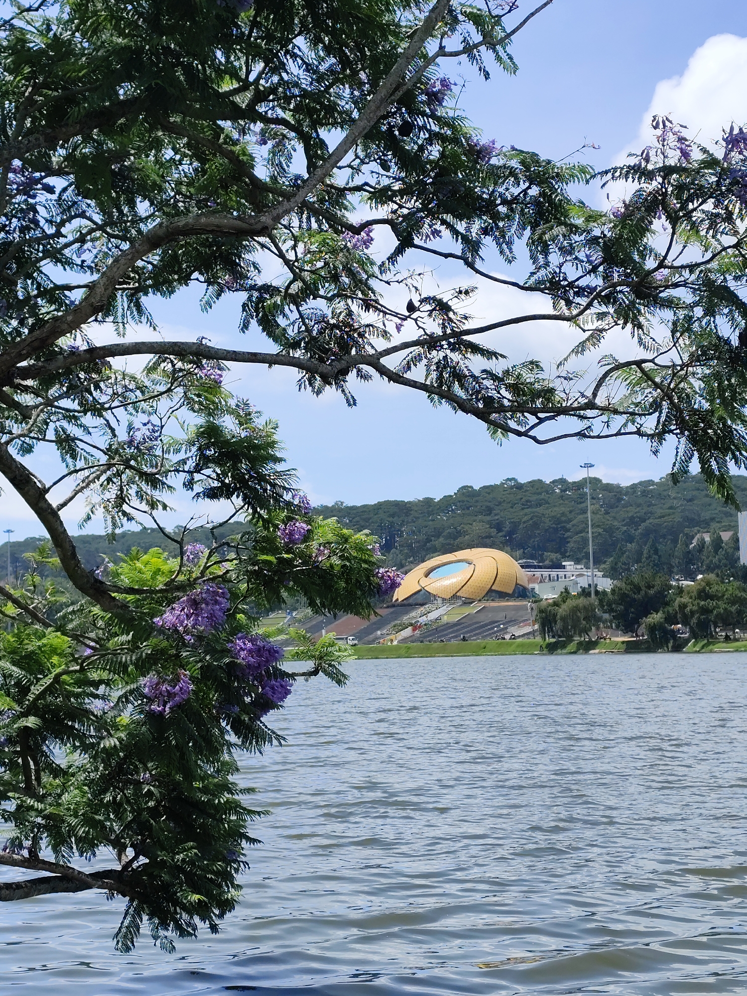 The image shows a view of Xuan Huong Lake in Da Lat, Vietnam. The lake fills the foreground, with gentle ripples visible on the surface. In the background, across the lake, is the Da Lat Theatre, a unique structure with a yellow, flower-like design and a blue roof. The theater is backed by a forested hillside. A tall light pole stands to the right of the theater. A tree with purple blossoms dominates the left side of the frame, partially obscuring the view and adding a foreground element. The sky is light blue with scattered clouds.