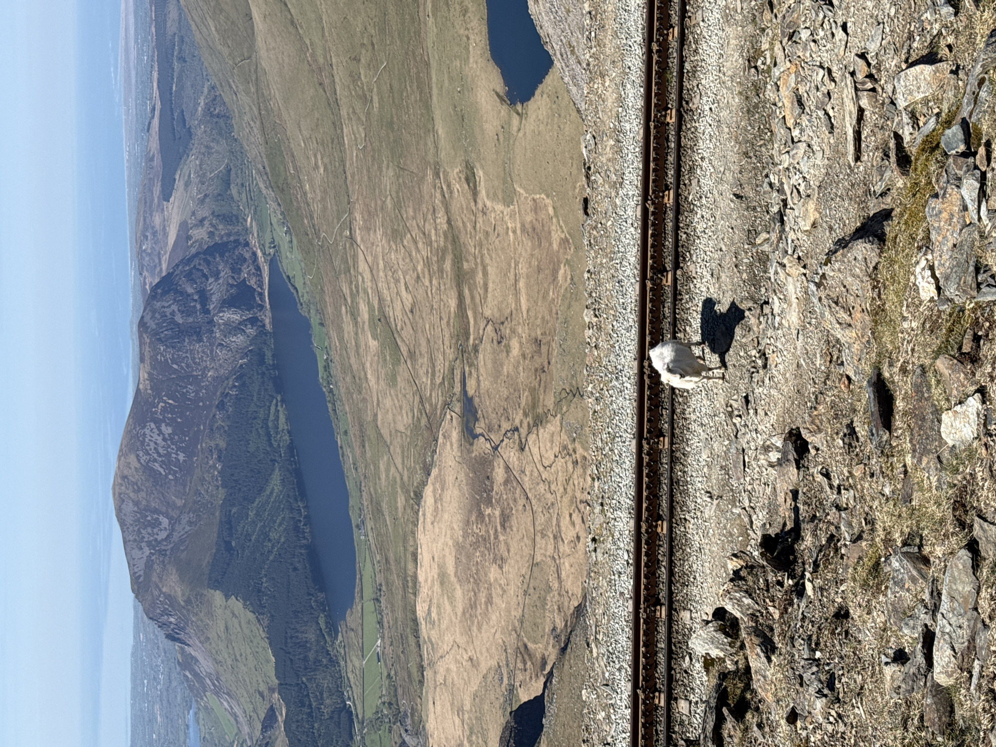 A high-angle shot reveals a panoramic view from what appears to be a mountainous region in Caernarfon, United Kingdom. The landscape features lakes, green fields, and rocky terrain. Parallel railway tracks run across the right of the frame, with ballast stones visible between and beside the rails. On the tracks, a white bird stands, casting a shadow on the stones. The scene is bathed in natural light under a clear sky.