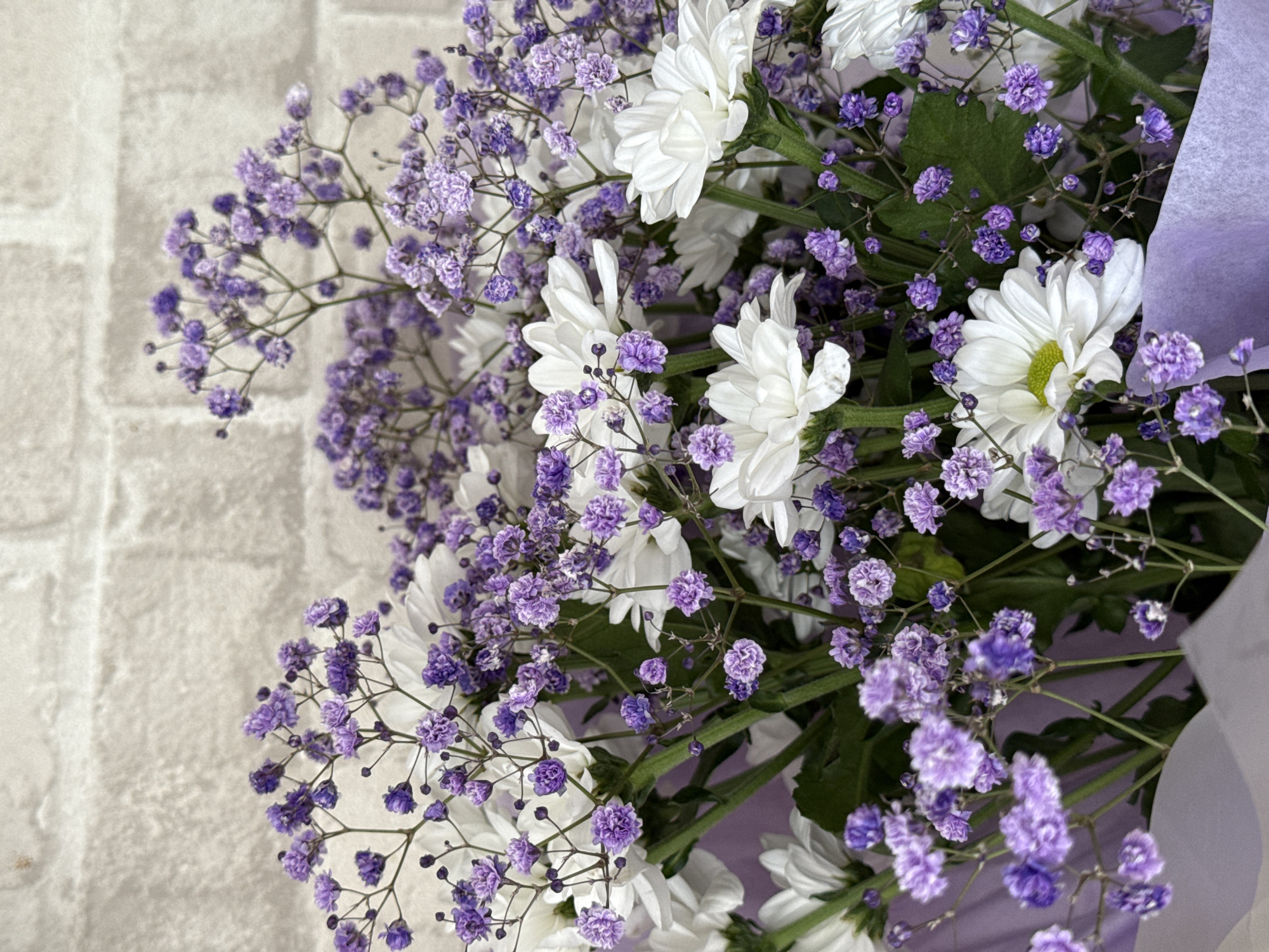 A close-up shot focuses on a bouquet of white chrysanthemums and delicate purple baby's breath flowers. The flowers are arranged in a soft purple wrapping. In the background, a textured white brick wall is visible. The scene is indoors, with no specific location in Cheboksary, Russia identifiable. There are no people or actions depicted.