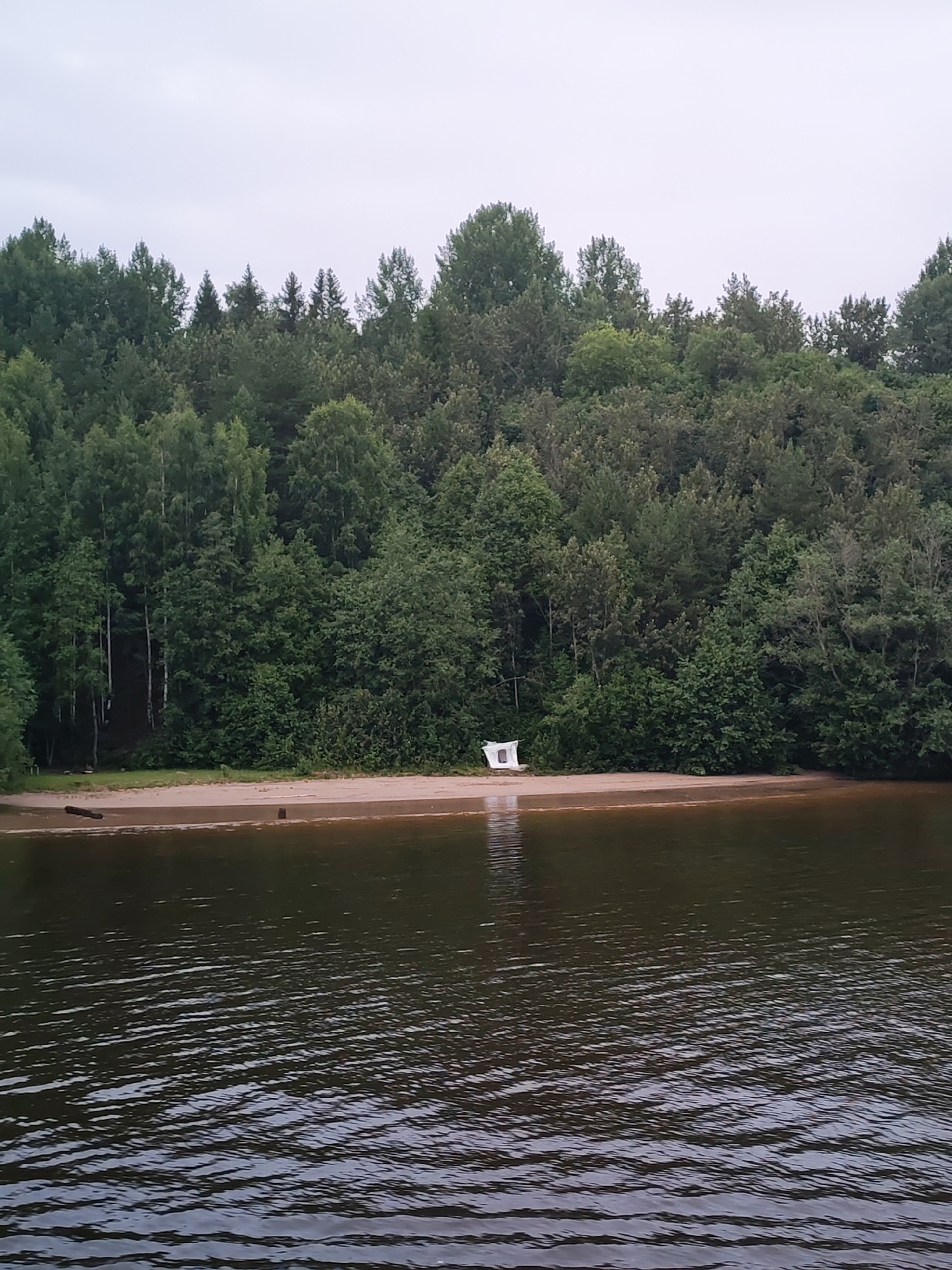 The image shows a serene natural landscape near Goritsy, Russia. A dense forest of green trees forms the backdrop, stretching across the horizon. In the foreground, a calm body of dark water reflects the overcast sky. A sandy shoreline separates the water from the forest, with a small, white, tent-like structure positioned on the beach. The scene suggests a peaceful, undeveloped natural area.