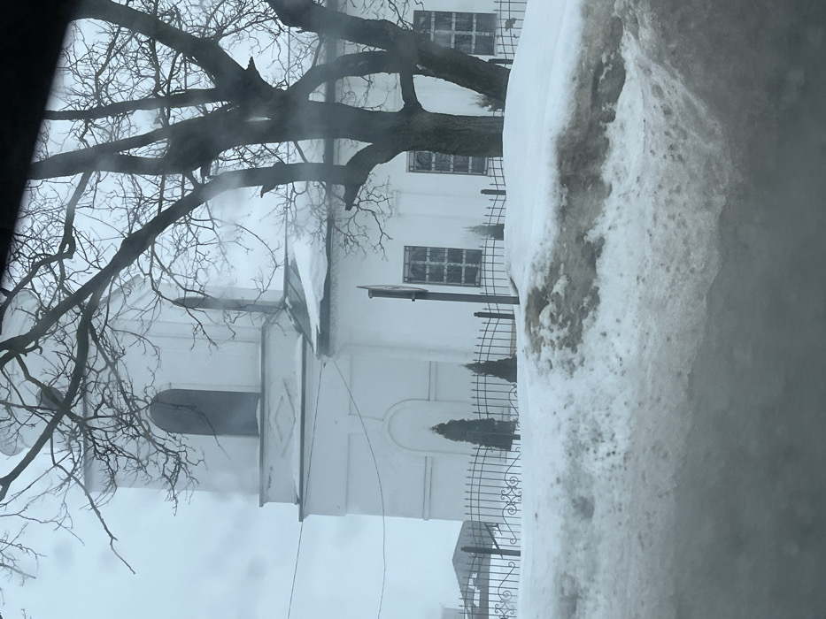 The image depicts a winter scene in Pokrovskoe, Russia, centered on a white church building partially obscured by a large, bare deciduous tree. The church features a prominent bell tower on the left with an arched opening at its summit and decorative molding below. Its main facade presents arched windows with visible grid patterns. Snow covers the church's ledges and roof sections. A black wrought-iron fence with decorative scrollwork delineates the church property, behind which several small, dark green conical shrubs are planted. A dark, vertical pole with an unidentifiable square sign is positioned in front of the fence, to the right. The foreground is dominated by a substantial mound of dirty, brown and grey snow, suggesting roadside accumulation. The sky is overcast and uniformly light grey. The overall scene is devoid of human figures or discernible activity. Minor visual obstructions, consistent with a vehicle's window, are present across the image.