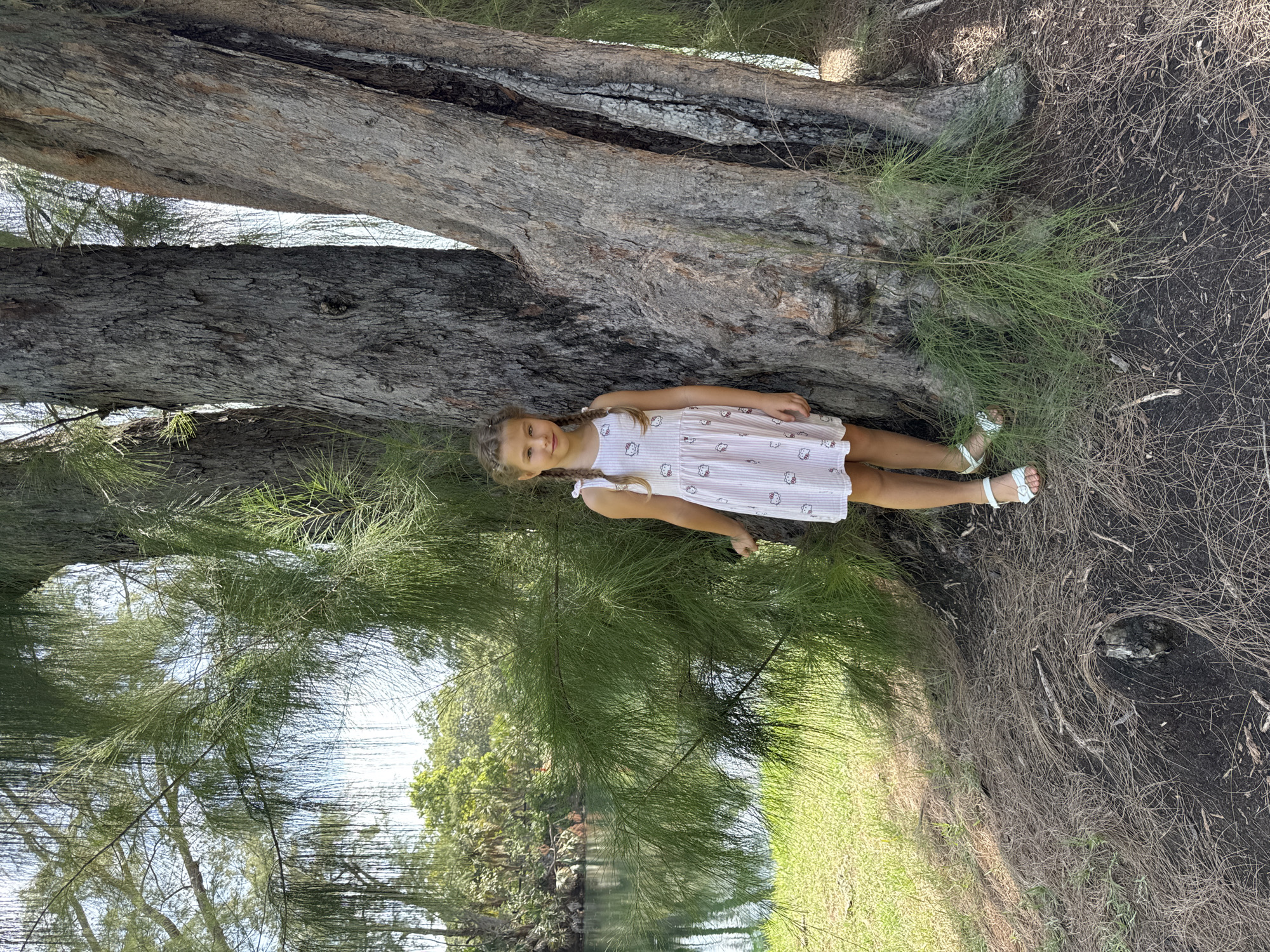 In a natural outdoor setting, a young girl with blonde braided hair stands next to a large tree. She is wearing a light-colored, short-sleeved dress with a striped pattern and images of Hello Kitty. The girl has white sandals on her feet. She is looking towards the camera with a slight smile. Behind her, to the left, a body of water with calm, greenish water is visible, reflecting the surrounding greenery. The ground around the tree is covered with dry pine needles and dark soil. The environment suggests a park or natural area, possibly near a river or lake. The overall scene depicts a peaceful moment in nature. The specific location in Fort Lauderdale, United States of America is not discernible from the image.