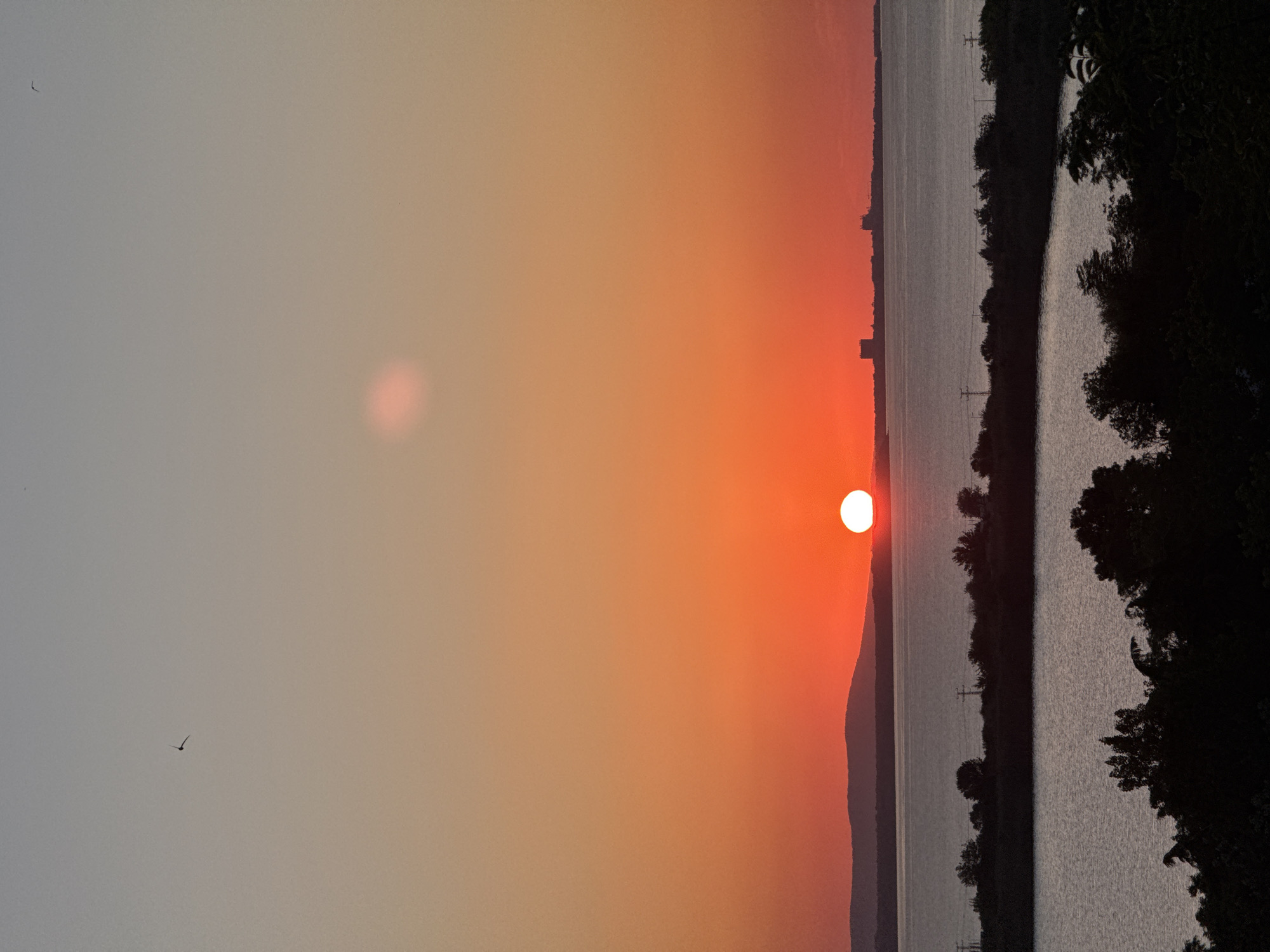 This is a vertical, eye-level, full shot photograph taken at sunset from a high vantage point overlooking the sea and a city. The sun is a bright orange disk low on the horizon, casting a warm glow across the sky. The sky transitions from a pale orange near the horizon to a soft gray at the top of the frame. A distant, silhouetted mountain range is visible to the left of the sun.
In the middle ground, a body of water, likely the Black Sea, stretches across the frame. A strip of land with trees and scattered power lines separates the foreground and middle ground waters. On the far shore, silhouetted buildings of a city are visible against the sunset.
The foreground is dominated by the dark silhouettes of trees, suggesting dense foliage. A single bird is visible in the upper left quadrant of the sky. The overall impression is one of a tranquil evening scene over the coastal city of Burgas, Bulgaria, with the sun setting over the water.