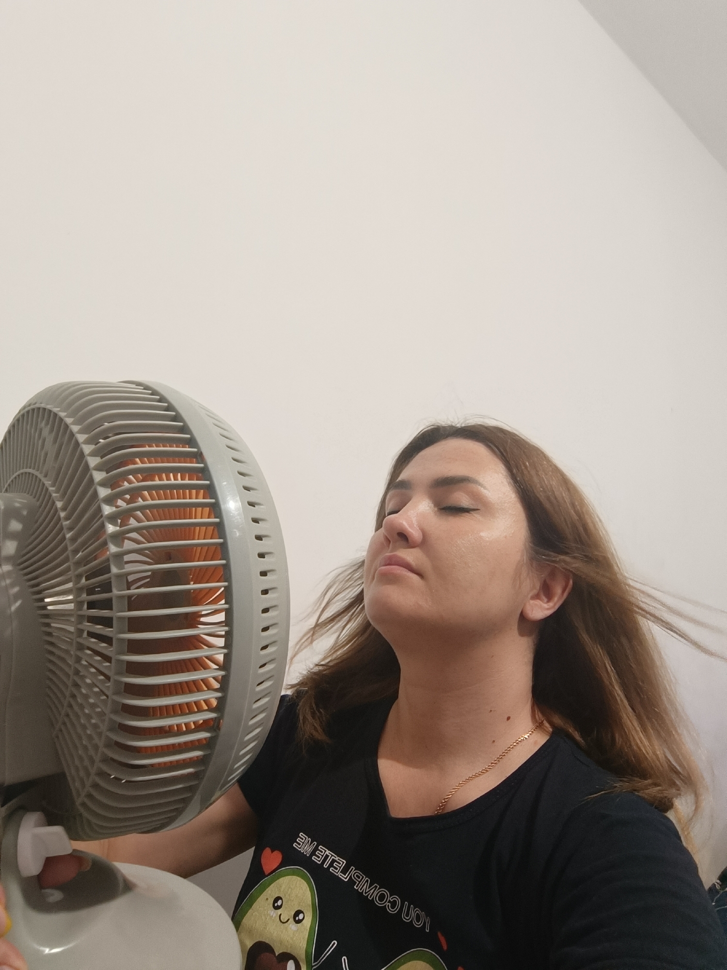 A woman is sitting in front of a fan, enjoying the cool air. She has her eyes closed and her head tilted back, with her hair blowing in the breeze. She is wearing a black t-shirt with a graphic of an avocado and the words "WE COME TO LOVE ME" printed on it in reverse. The fan is grey and has orange blades. The background is a plain white wall, suggesting an indoor setting. The lighting is soft and appears to be from an artificial source. The overall mood is one of relaxation and relief from heat. There are no specific cues about the time of day or weather. The location context provided is "Taraz city administration, Kazakhstan", but there are no visual elements in the image to confirm this specific location.
