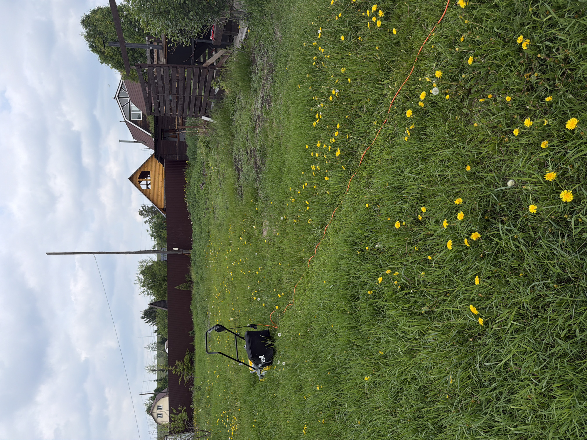 The image depicts a grassy yard filled with dandelions. In the foreground, a yellow and black electric lawn mower is situated on the grass, connected to an orange extension cord that stretches across the yard. In the background, a brown wooden fence encloses the property, behind which are several wooden houses and trees under a cloudy sky. The scene appears to be a residential yard in Emel'yanovo, Russia, possibly during late spring or early summer given the prevalence of dandelions. There are no people visible in the image.