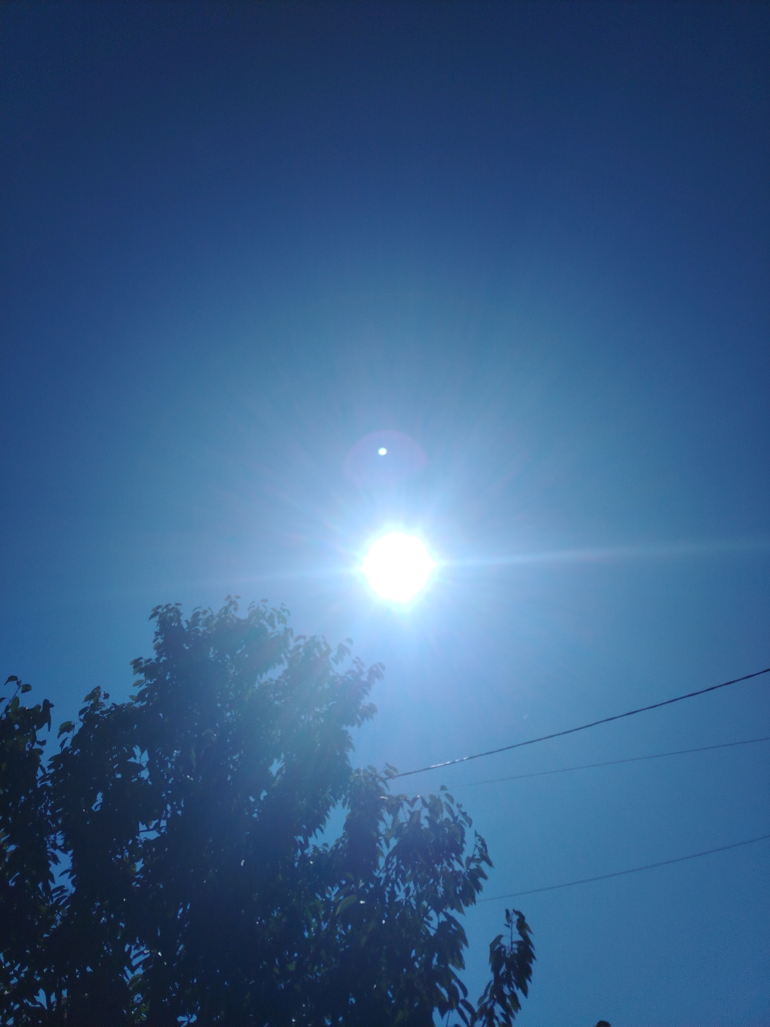A sun-drenched sky dominates the scene with a clear, deep blue hue. The bright sun, positioned slightly off-center to the right, radiates intense light and lens flare, creating a starburst effect. A small, circular reflection of the sun is visible near the main solar disc. In the lower portion of the image, the silhouette of a leafy tree fills the left side, its branches and foliage creating a dark contrast against the bright sky. The top branches of the tree are silhouetted against the sun. Two thin, dark wires traverse the upper right quadrant of the sky, indicating the presence of utility lines. The image captures an outdoor scene, likely during daylight, with a focus on the sky and natural elements. The specific location is the city of Molodiia, Ukraine.