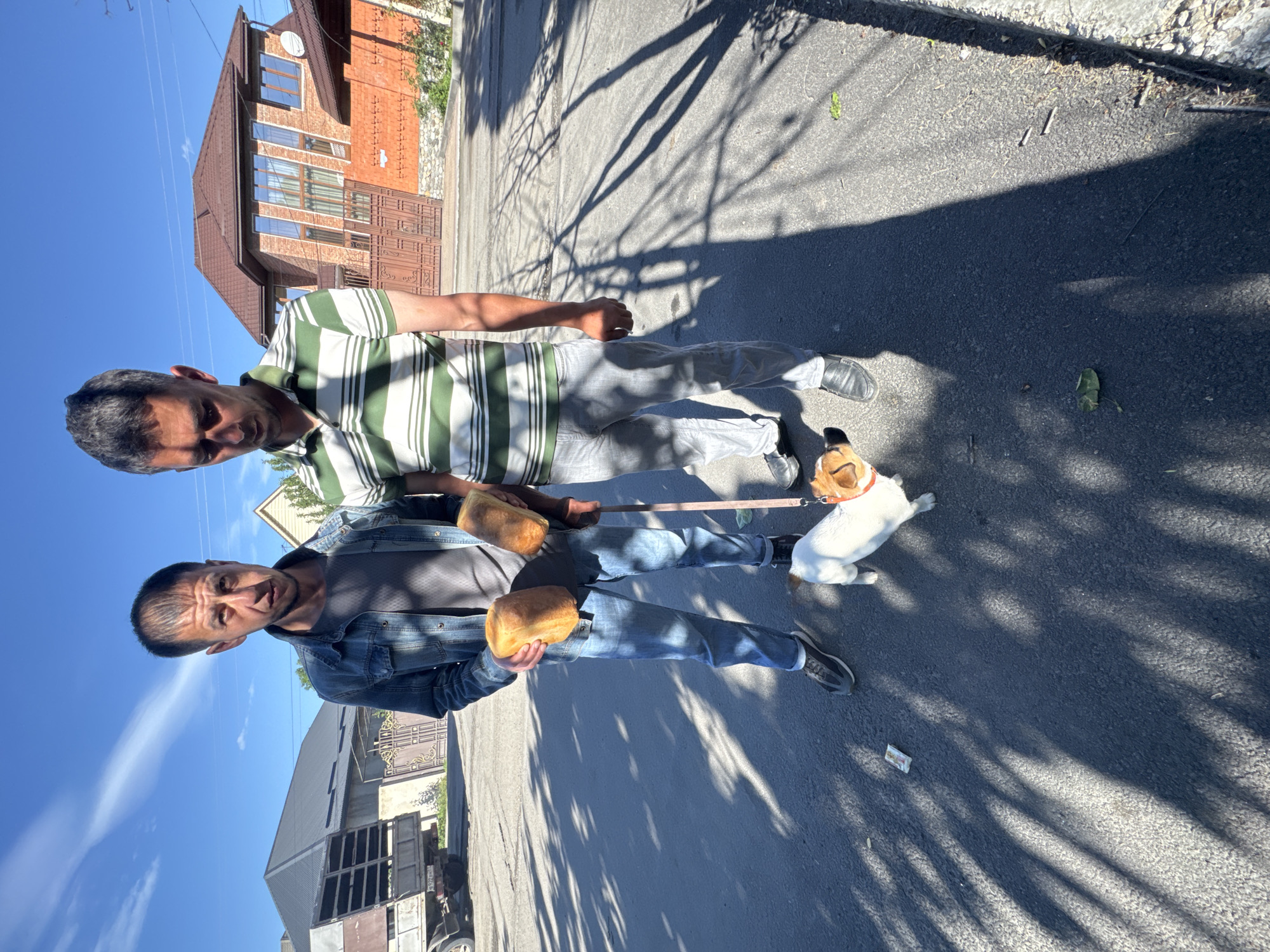 Two men are walking a dog on a leash down a paved street in an urban environment. One man is wearing a green and white striped shirt and grey pants, while the other is wearing a denim jacket and blue jeans. The man in the denim jacket is holding two loaves of bread. A white and tan dog is on a leash between them. The scene is lit by bright sunlight, and there are shadows of trees on the pavement. Houses and other buildings are visible in the background.