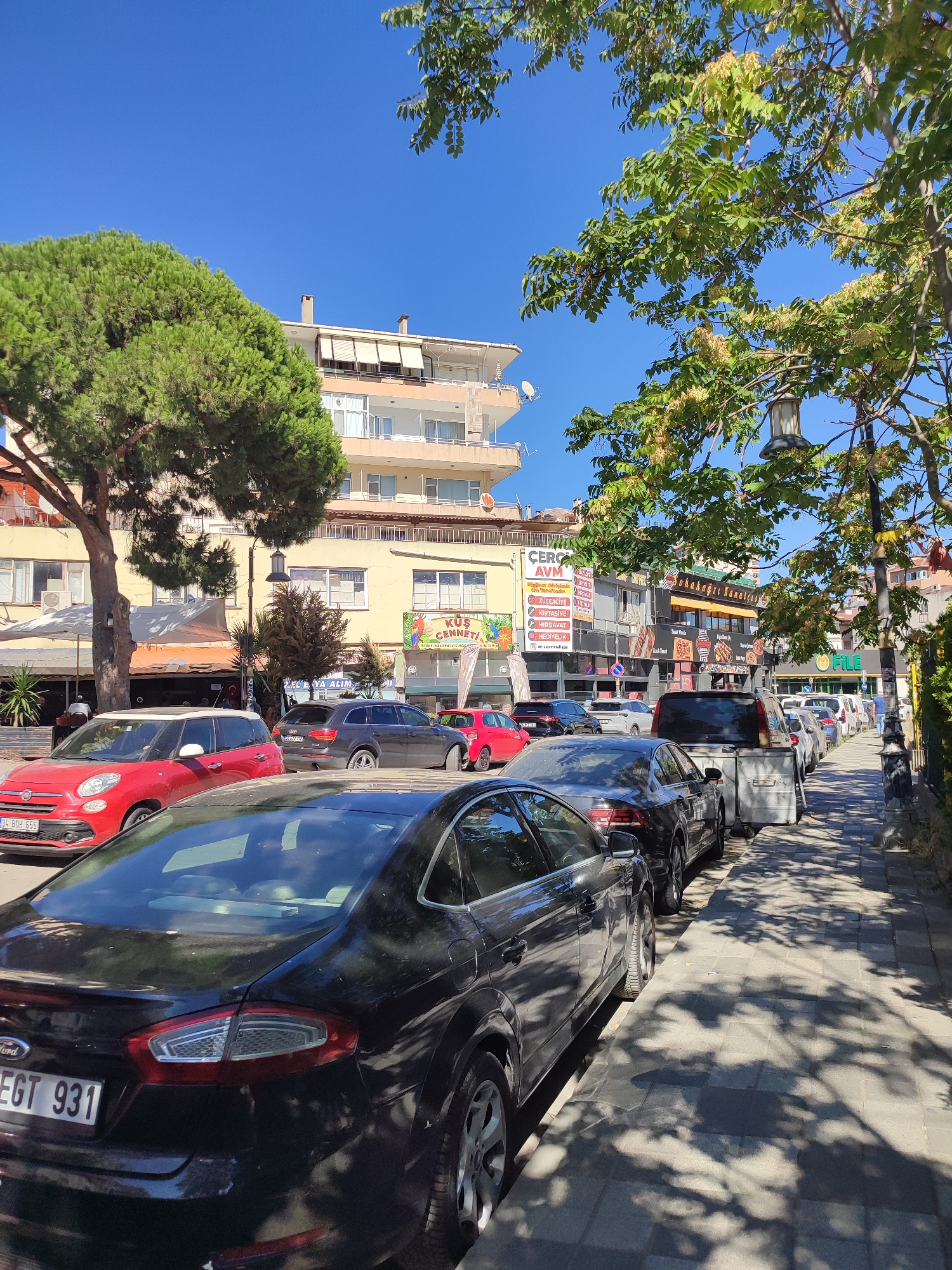 This image captures a street scene in Maltepe, Turkey, on a sunny day. The perspective is from street level, looking down a sidewalk lined with parked cars. A black Ford Mondeo is prominently featured in the foreground, with its license plate visible as "34 EGT 931". To its left, a red Fiat 500 is parked, displaying the license plate "34 BOH 655". Further down the street, a line of various vehicles is parked along the sidewalk.
The environment consists of a paved sidewalk, a street with multiple lanes, and buildings on the right side of the road. These buildings appear to be commercial establishments, with visible signage in Turkish, including "ÇERÇİ AVİ", "KÜŞÜYECİYE", "KIRTASİYE", and "HIRDAVAT". Some of these signs indicate businesses like a frame shop, stationery store, and hardware store. A restaurant with outdoor seating is visible on the left, under an orange awning.
Overhead, mature trees with green foliage cast dappled shadows on the sidewalk and street. The sky is clear and blue. The overall impression is a typical urban street scene in Turkey. There are no people actively engaged in any interaction visible in the frame. The focus is on the parked vehicles and the commercial architecture.