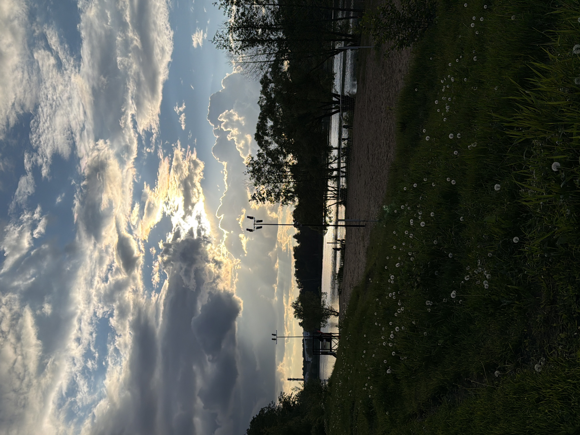 The image captures a scene in Malakhovka, Russia, showing a lakeside view at dusk. Cumulonimbus clouds fill the sky, obscuring the setting sun. The foreground is dominated by a grassy area dotted with dandelion seed heads. A sandy beach transitions to a body of water bordered by silhouetted trees. Streetlights stand along the shore. There are no people visible. The overall environment suggests a tranquil, natural setting within an urban context.