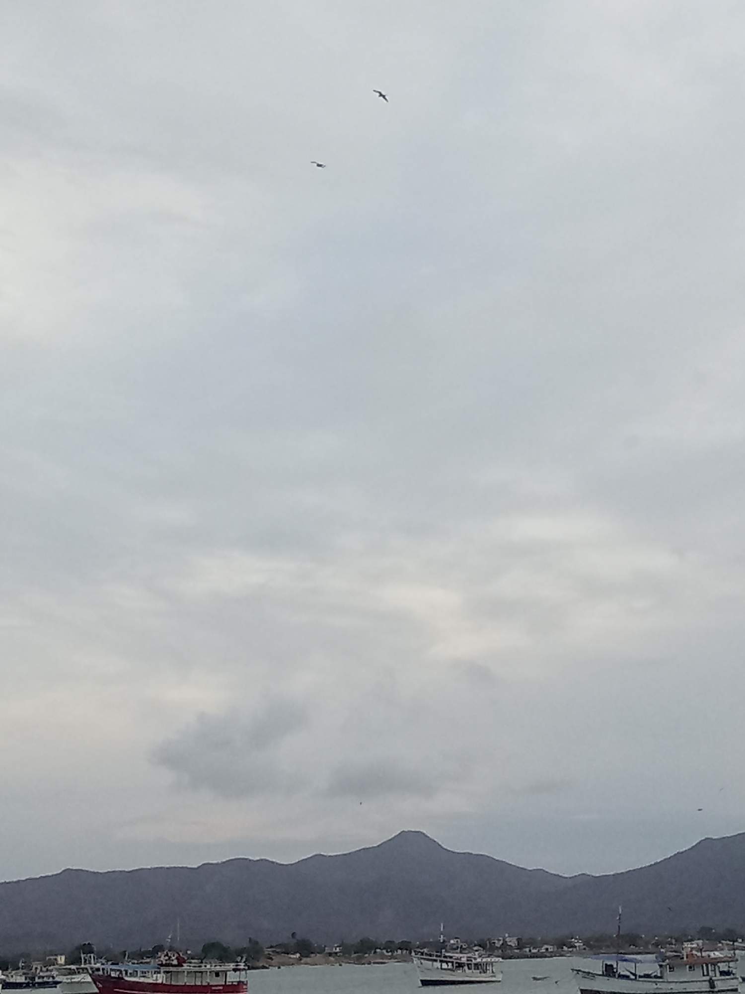 The image captures a coastal scene in Juan Griego, Venezuela, characterized by a somber, overcast sky. In the distance, a range of mountains forms a backdrop to the calm waters. Several boats are moored in the foreground. Two birds are visible in the sky.
