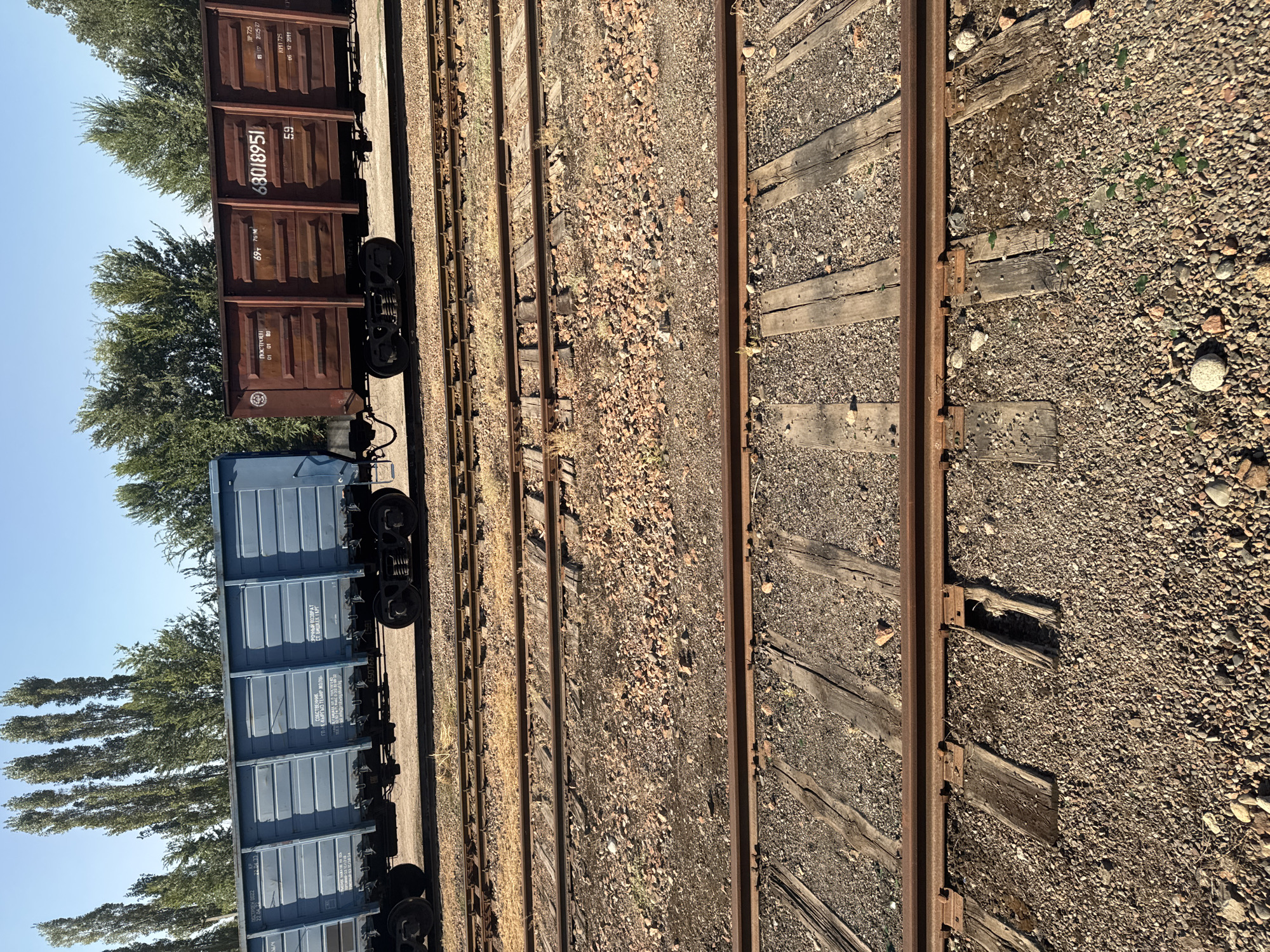 The image shows a sunny day with a clear blue sky in Ivanovka, Kyrgyzstan. In the background, tall, slender trees stand against the sky, and further down are more trees with fuller foliage. In the middle ground, a train sits on tracks. The train consists of two distinct cars. The car on the left is a light blue, open-top freight car with visible structural details and some text. The car on the right is a rusty brown, open-top freight car, also with text and visible rivets. The train cars are positioned on a railway track. In the foreground, multiple sets of parallel railway tracks are visible, running horizontally across the image. These tracks are made of metal rails supported by wooden sleepers embedded in a bed of gravel and small stones. The ground surrounding the tracks is covered in a mix of gravel, dirt, and sparse dry vegetation. The scene appears to be an outdoor industrial or transportation area.