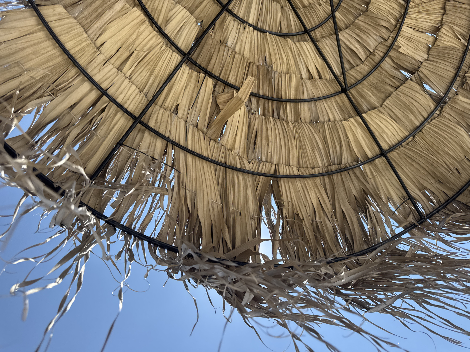 The image displays a close-up, low-angle view of the underside of a thatched umbrella against a clear blue sky. The umbrella is constructed with dried palm leaves or similar vegetation woven and secured to a black metal frame. The texture of the thatch is detailed, showing individual fronds and their natural variations in color, ranging from light tan to a warmer beige. Some fronds are frayed and hang loosely, particularly at the edges, adding a sense of movement and natural wear. The metal frame, composed of concentric rings and radial supports, is visible through the gaps in the thatch, providing structural context. The bright daylight illuminates the underside of the umbrella, creating a dappled effect with sunlight filtering through the material. The environment is a clear, cloudless sky, suggesting an outdoor setting, likely a sunny day. There are no people, animals, or other identifiable objects in the frame. The specific location in Kazichene, Bulgaria, is not discernible from the visual information presented in the image itself.