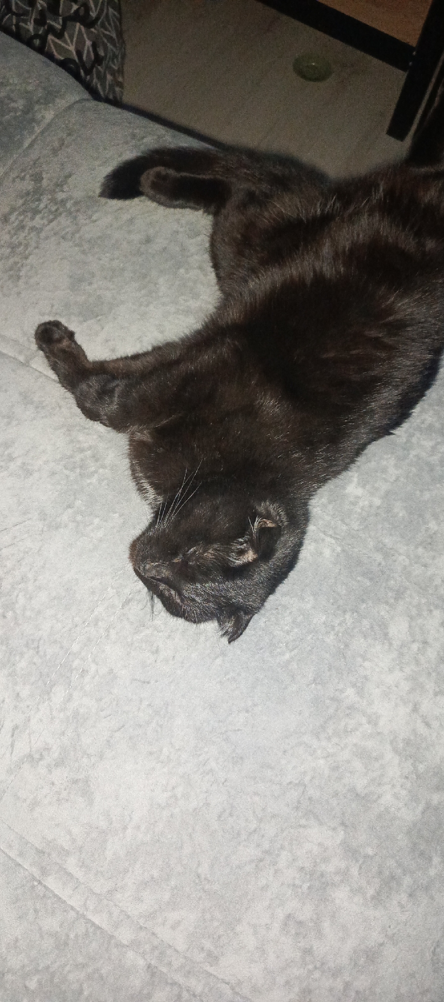 In an interior setting located in the city of Марковский, Russia, a black domestic cat is observed lying prone on a light grey, textured upholstered surface. The animal's body is elongated, with its head turned to the left of the frame, and its eyes are closed. Its front limbs are extended forward, and one rear limb is partially flexed. The cat exhibits uniform black fur, appearing dense and short. The background includes a dark, patterned fabric object to the upper left. To the upper right, a darker floor or surface is visible, featuring a partial dark furniture leg and a small, light-colored circular object. The scene is characterized by low ambient illumination.