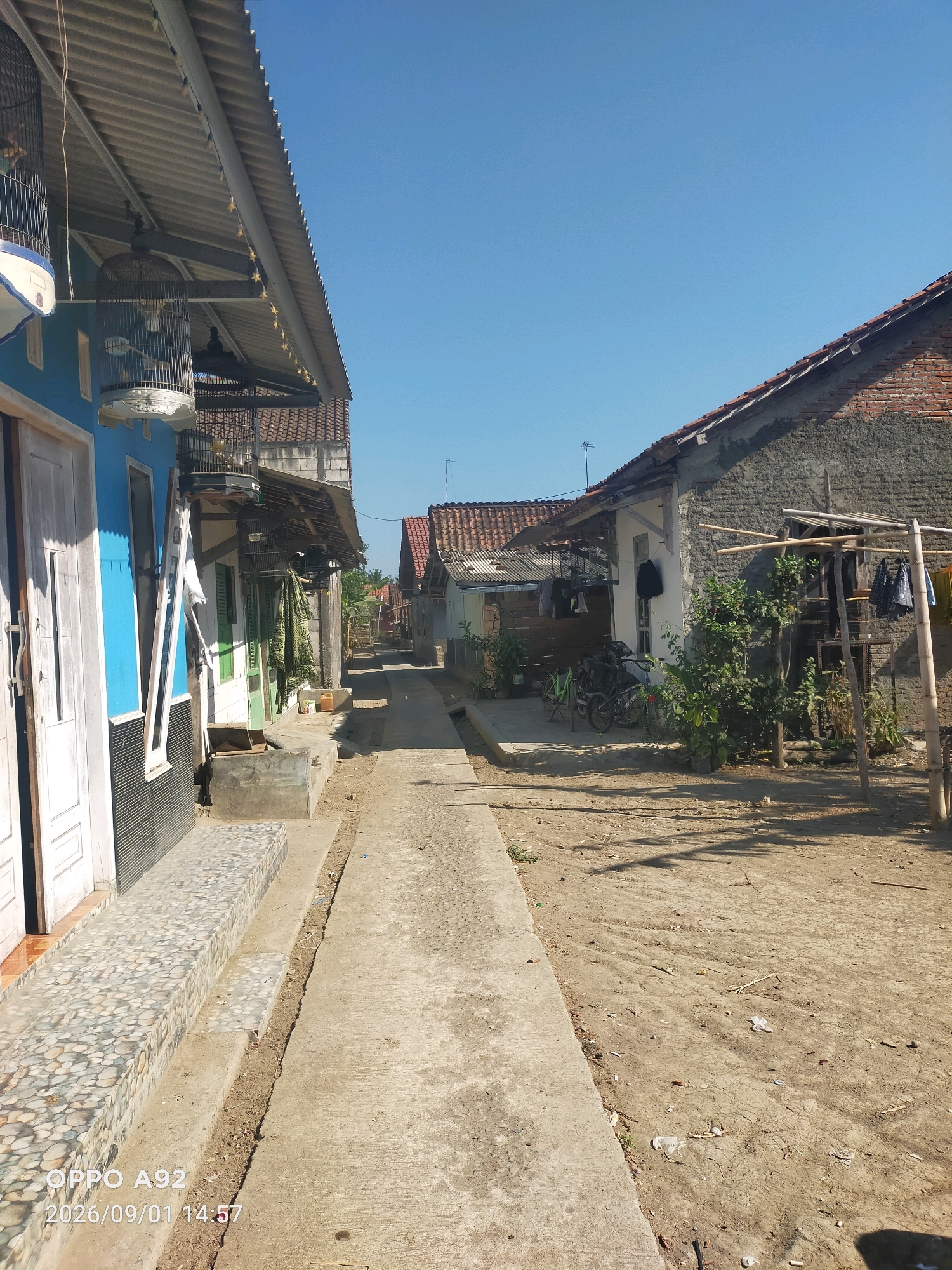 The image shows a narrow, sun-drenched alleyway between residential buildings in what appears to be a village or a less developed urban area, possibly Binangun, Indonesia. The sky is clear and blue. On the left side, a blue-colored house is visible, with a white-framed door and window. Several bird cages are hung from the corrugated metal roof overhang of this house. Further down the alley on the left, another house with green doors and windows is present.
On the right side of the alley, a brick building with a tiled roof is seen. In front of this building, there's a clothesline with laundry hanging, and some potted plants and a small tree. Two bicycles are parked near the entrance of the building. The ground of the alley is paved with concrete in some sections and is dusty and dry in others, with scattered debris. The overall scene depicts a residential area with a simple, everyday atmosphere. The timestamp "2026/09/01 14:57" is superimposed on the bottom left corner, along with "OPPO A92".