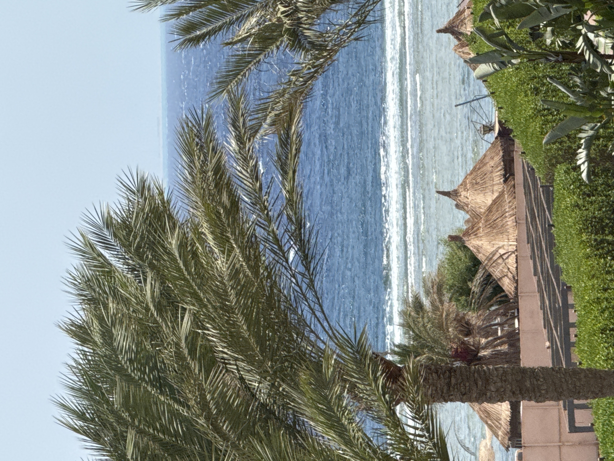 This is a medium shot of a tropical beach scene in an unknown city in Egypt, featuring palm trees, thatched roofs, lush green foliage, and the blue ocean under a clear sky. In the foreground, the fronds of two large palm trees frame the view, with their textured trunks visible. Behind the palm trees, several conical thatched-roof structures, likely beach umbrellas or cabanas, are arranged in a row. These structures are partially obscured by dense green bushes and manicured hedges. A low, light-colored wall runs along the front of these structures, with a dark, slatted wooden overhang or pergola. The middle ground of the image showcases the calm, blue ocean with gentle waves breaking on a distant shore, possibly a reef. The sky is a pale, clear blue. The scene appears to be a resort or a similar recreational area, exuding a peaceful and vacation-like atmosphere. There are no people or animals visible in the image.