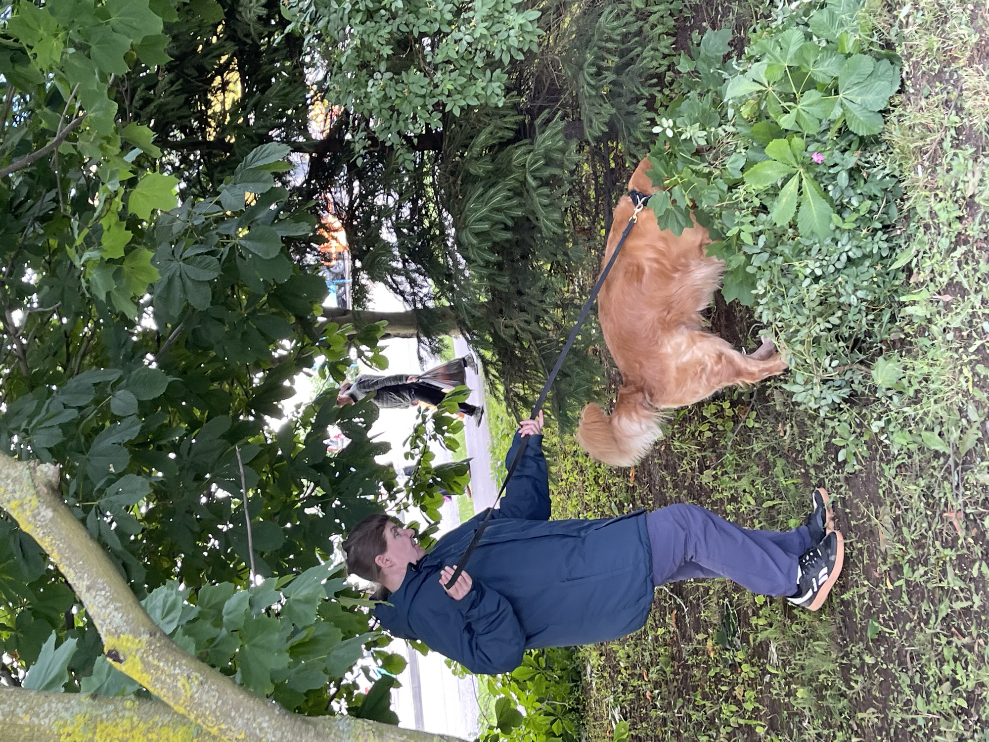 A person wearing a dark blue hooded jacket and blue pants is holding a black leash attached to a golden-colored dog. The dog is sniffing the ground in a patch of green vegetation. The person and dog are standing on a patch of grass and dirt, with trees and foliage surrounding them. In the background, another person is walking away, carrying a shopping bag. The scene appears to be outdoors in a park-like setting, possibly in Moscow, Russia, given the presence of trees and a pathway.