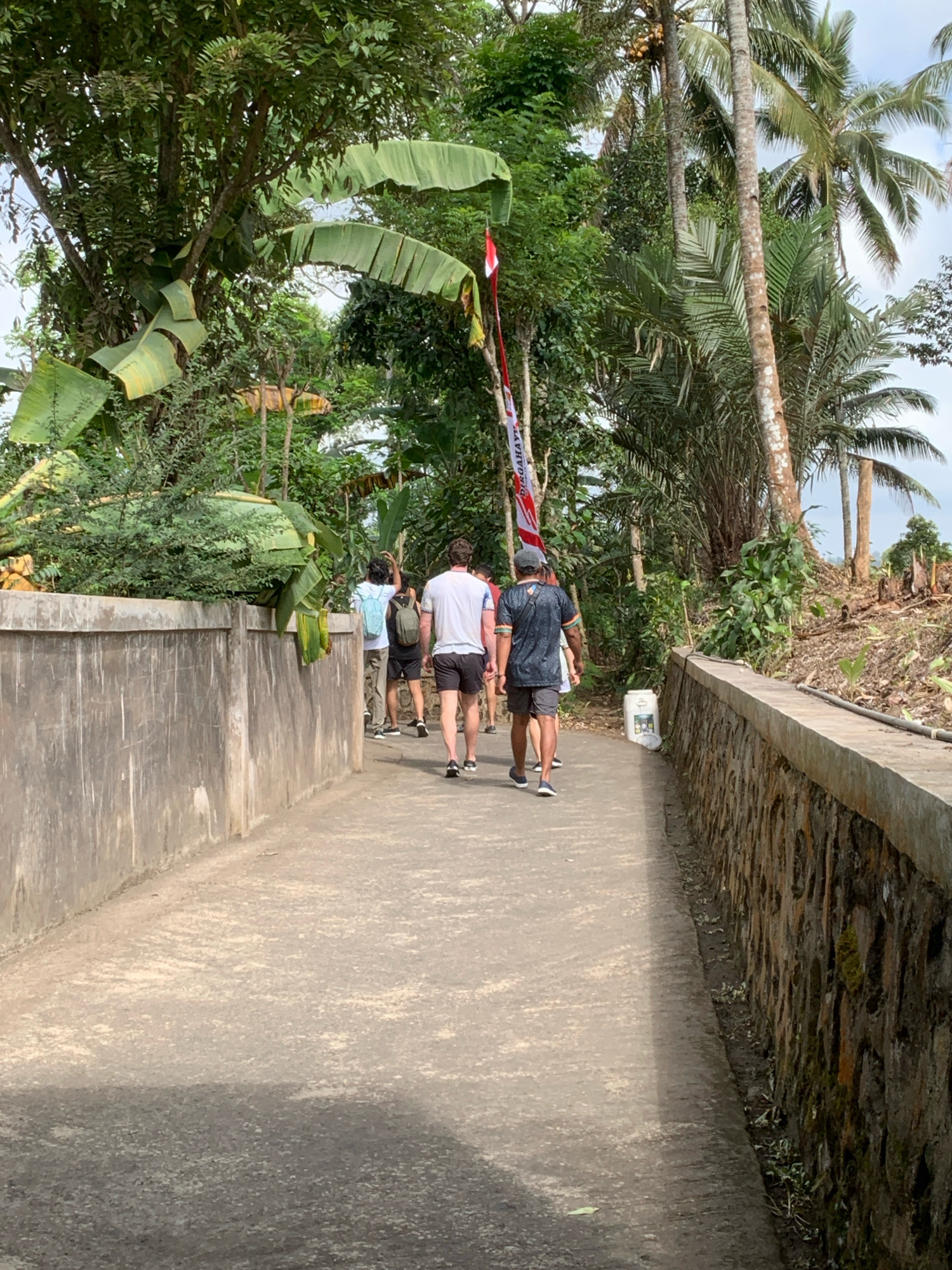 The image depicts a pathway with concrete walls on either side, leading through a lush, tropical environment. The pathway appears to be made of concrete and shows signs of wear. On the left, a rough concrete wall with visible texture and discoloration runs along the pathway. On the right, a lower wall constructed of stones and cement, partially covered in moss, borders the path.
Several individuals are walking away from the viewer along the pathway. The first person is wearing a white t-shirt and dark shorts. The second person is also wearing a white t-shirt and dark shorts. The third person is wearing a dark t-shirt with a graphic design and dark shorts. The fourth person, partially visible, appears to be wearing a white t-shirt and light-colored shorts. One individual is carrying a light blue backpack, and another has a dark backpack.
The surroundings are densely vegetated with large green leaves, indicative of tropical flora such as banana plants. Palm trees are prominent in the background, with some bearing fruit. A small white water dispenser or bin is visible on the right side of the pathway, near the stone wall. A red and white flag, possibly the Indonesian flag, is visible on a pole in the distance, adorned with text. The ground on the right of the path is uneven and covered with debris and some cut vegetation. The sky is not clearly visible due to the dense tree cover. The overall scene suggests a walk or hike through a village or natural area, potentially in a rural setting within Sidomulyo, Indonesia.