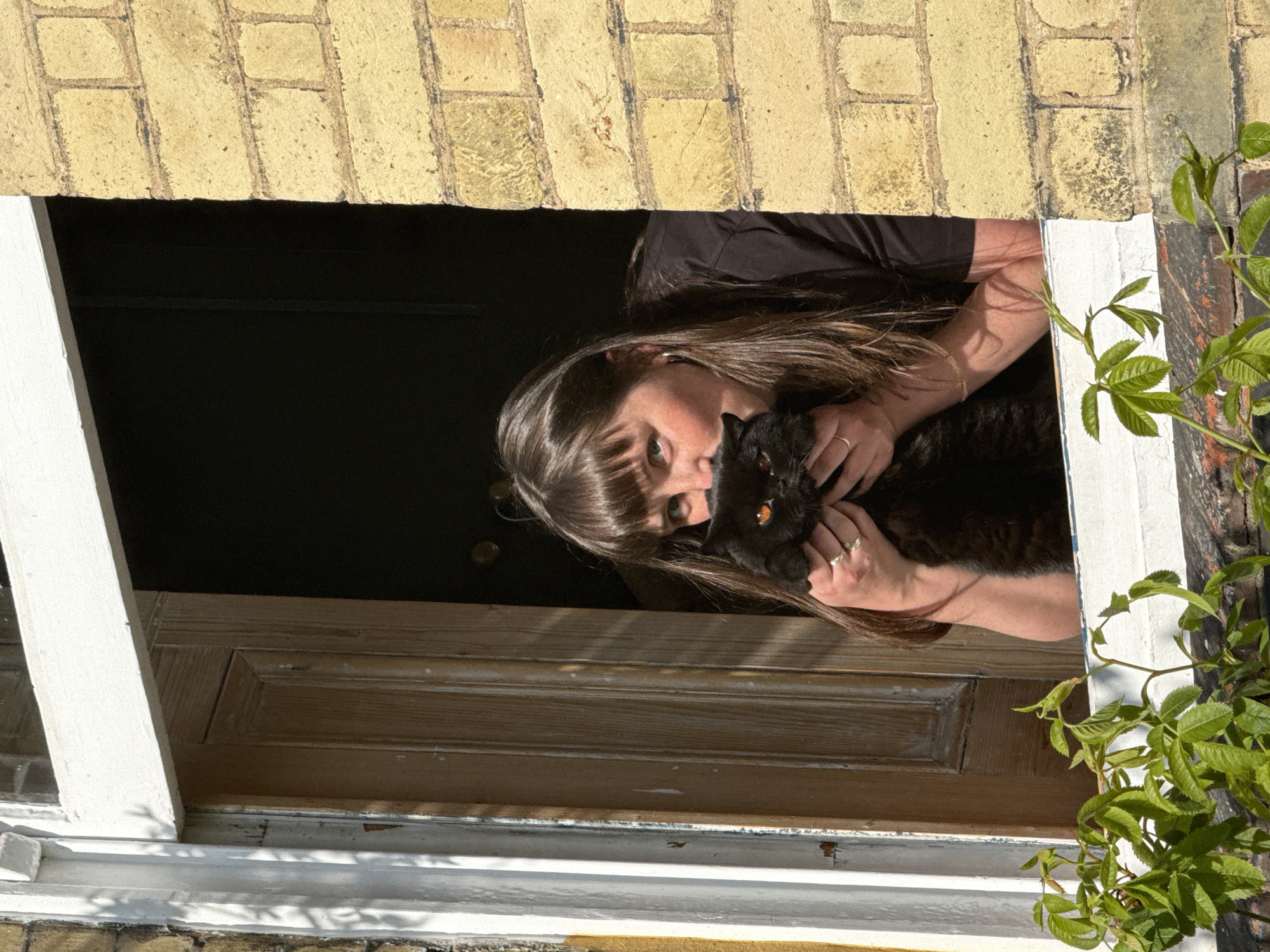 This photograph is taken from an exterior vantage point, looking upwards into an open window or doorway of a building. The image captures a woman with long, dark brown hair and bangs, wearing a dark top, affectionately holding a black cat. Her head is tilted, and her mouth is slightly open, suggesting she is nuzzling or kissing the cat. Her left eye is visible, looking towards the camera, while the black cat, with striking amber-orange eyes, also gazes outwards. The cat appears calm and comfortable in her embrace.
The setting reveals parts of a building's exterior, characterized by yellow brickwork visible above and below the window opening. This type of brickwork is a common architectural feature in London, United Kingdom. A white painted window frame or sash defines the edges of the opening. To the lower right, vibrant green foliage from a climbing plant or vine is visible, partially obscuring the brickwork and the edge of the window. The interior beyond the woman and cat is largely dark, with hints of a wooden door or paneling.
The strong sunlight illuminating the exterior brickwork and foliage, contrasted with the shadowed interior, indicates a bright, sunny daytime, possibly morning or late afternoon. The overall mood of the image is one of warmth and tenderness, highlighting the affectionate bond between the woman and her pet. There is no visible text in the image.