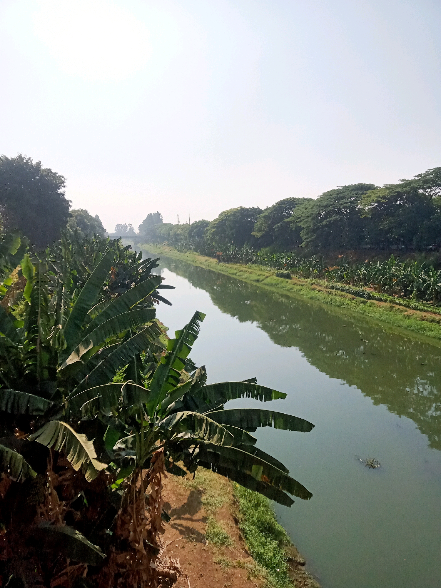 An image shows a canal lined with banana trees on the left bank and trees on the right bank. The canal reflects the trees and the sky. In the distance, a bridge crosses the canal. The sky is bright and overcast. The location is East Jakarta, Indonesia.