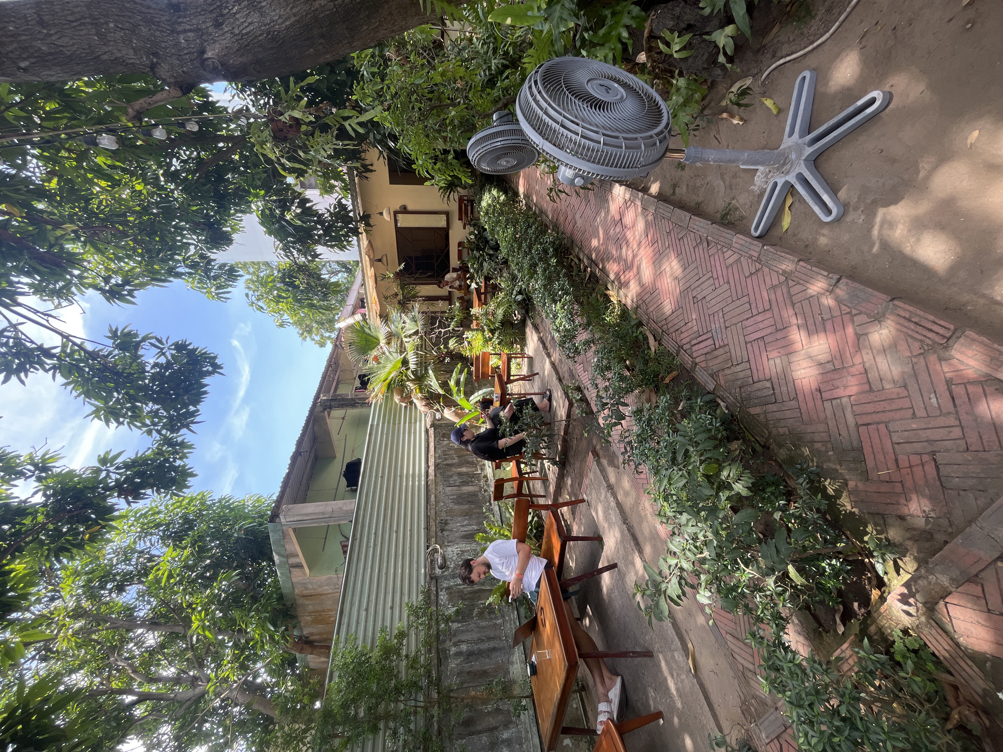 This image depicts an outdoor seating area at a cafe in Da Nang, Vietnam, likely a tropical or subtropical region given the lush greenery and style of the buildings. The scene is a courtyard with a brick-paved walkway leading into the cafe. There are several wooden tables and chairs set up, some occupied by patrons.
In the foreground, to the right, are two large grey oscillating fans positioned on the dirt ground near the brick path. Beyond the fans, a dense arrangement of various green plants and trees fills the space. Hanging from a tree branch above are several exposed light bulbs, suggesting evening or ambient lighting.
Further back, a red brick pathway runs along a manicured garden bed filled with dense, low-lying green bushes. To the left of this path, a man in a white t-shirt and shorts is seated at a wooden table with a laptop and a glass of water, appearing to be working or studying. He is looking down at his phone. Next to him, a wooden table and chairs are empty.
Further down the path, another person, wearing a dark t-shirt and a blue cap, is seated at a table. This individual appears to be looking down, possibly at their phone or a tablet. Their table also has a drink.
The background reveals a building with a light-colored facade and a covered outdoor area. Behind the seating area, a corrugated metal fence runs along the edge of the property, with some greenery visible above it. The overall atmosphere is relaxed and casual, suggesting a popular spot for people to work or socialize outdoors. The presence of fans and lush vegetation points to a warm climate.