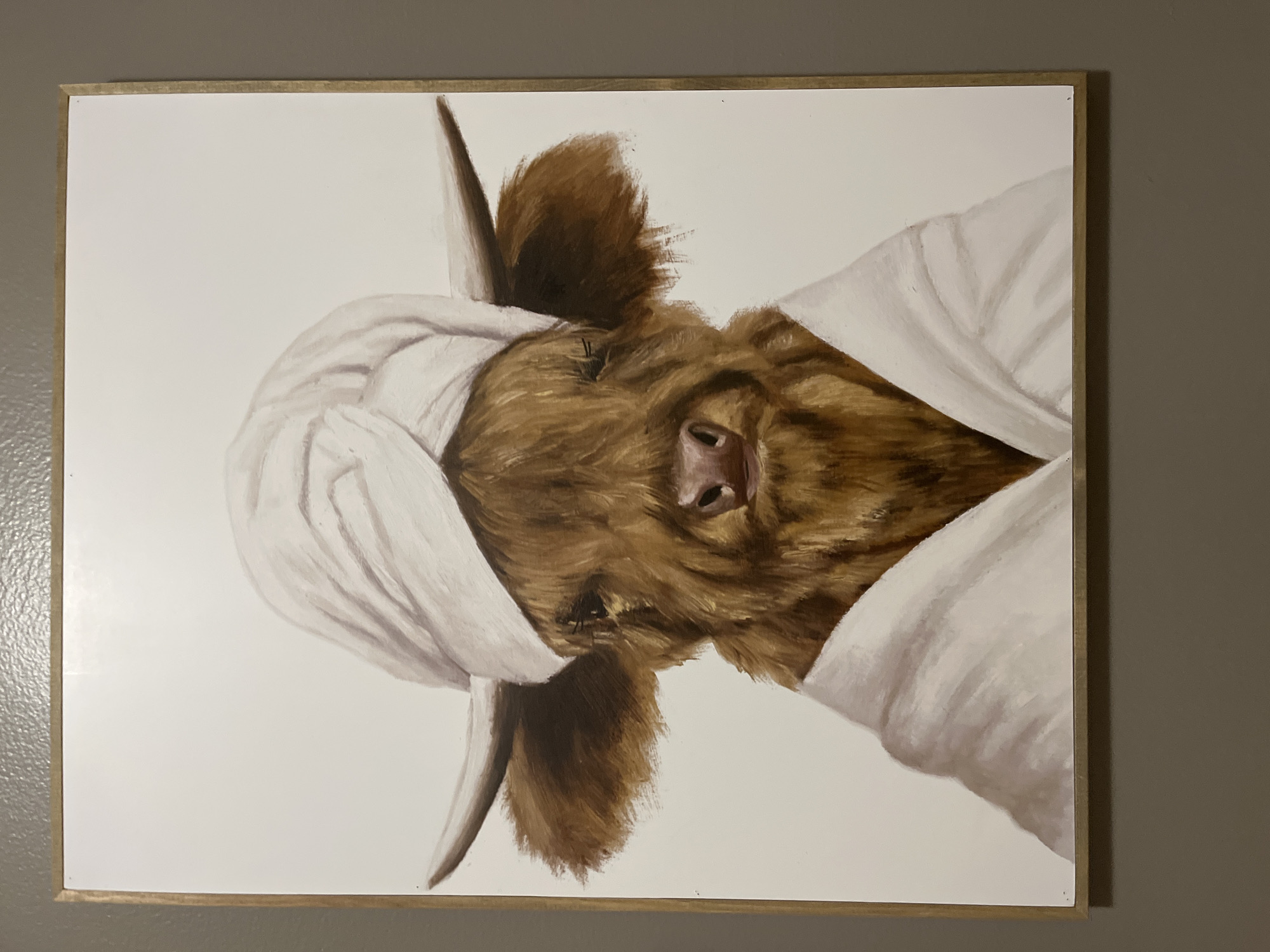 The image shows a framed painting of a brown cow with white fabric draped over its head and body, mounted on a gray wall. The location is Woodridge, United States of America. The painting is oriented with the cow facing to the right. The frame is a thin, gold color. The background of the painting is white. The cow's face is visible, with its nose prominently displayed. Its horns are visible, partially covered by the white fabric. The fabric appears to be draped loosely, with folds and shadows indicating its texture.
