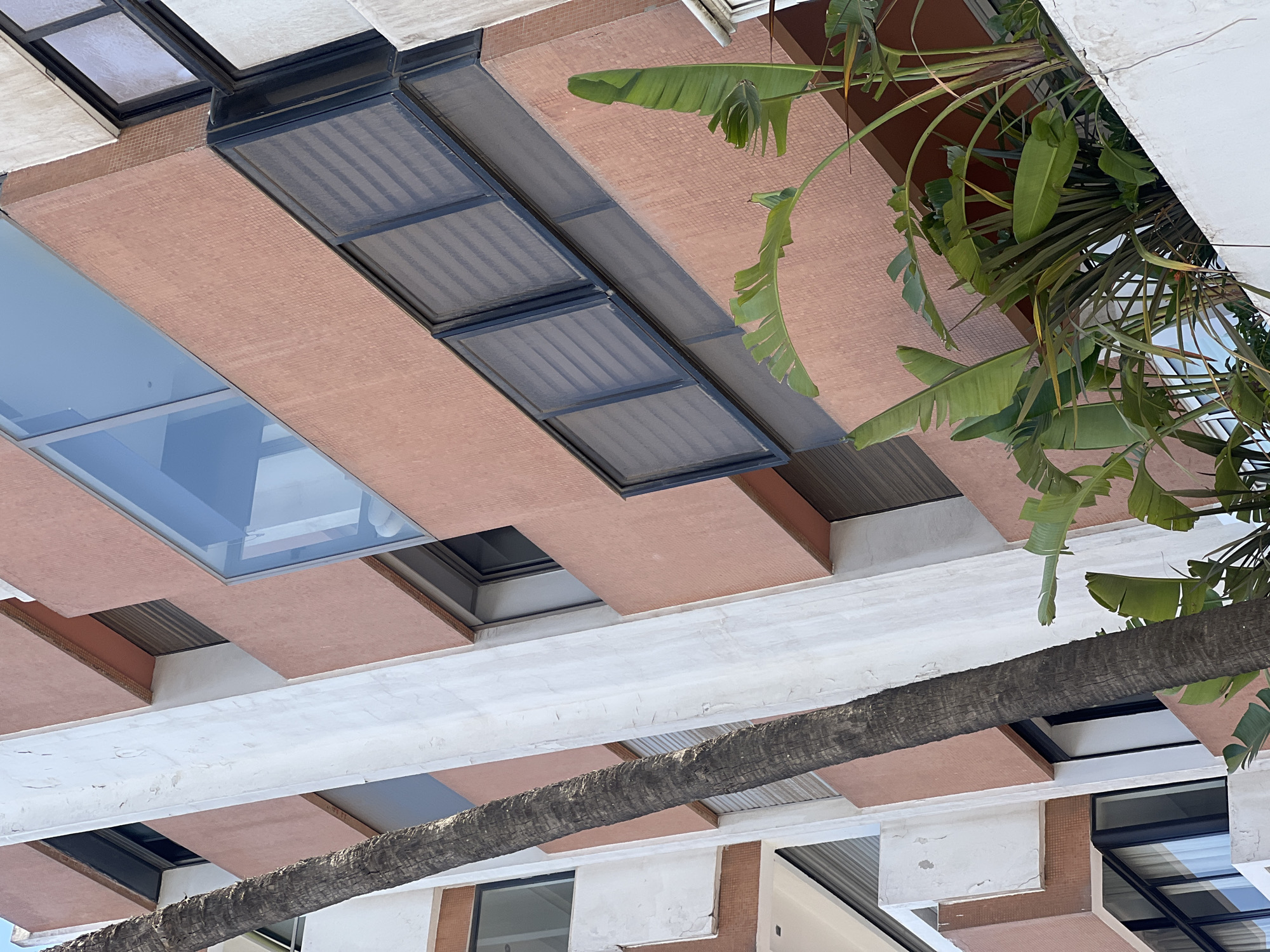 This image presents a modern, multi-story building located in Casablanca, Morocco, captured from a low, upward-angled perspective. The building's facade is predominantly surfaced with small, reddish-brown mosaic tiles, creating a textured appearance. This is contrasted by prominent white vertical and horizontal architectural elements, likely concrete, which exhibit minor wear and discoloration. The building features various windows, including a large, multi-paned, angled window on an upper floor that reflects the clear blue sky, and several rectangular windows, some with dark frames containing internal horizontal blinds or louvers. A tall, slender palm tree trunk extends vertically on the left side of the frame, partially obscuring the building's lower and mid-sections. From a planter or balcony on a lower level, a dense cluster of lush green tropical plants, identifiable as large-leafed species such as Birds of Paradise, grows outward. The scene is illuminated by bright daylight, and no people or specific actions are depicted.