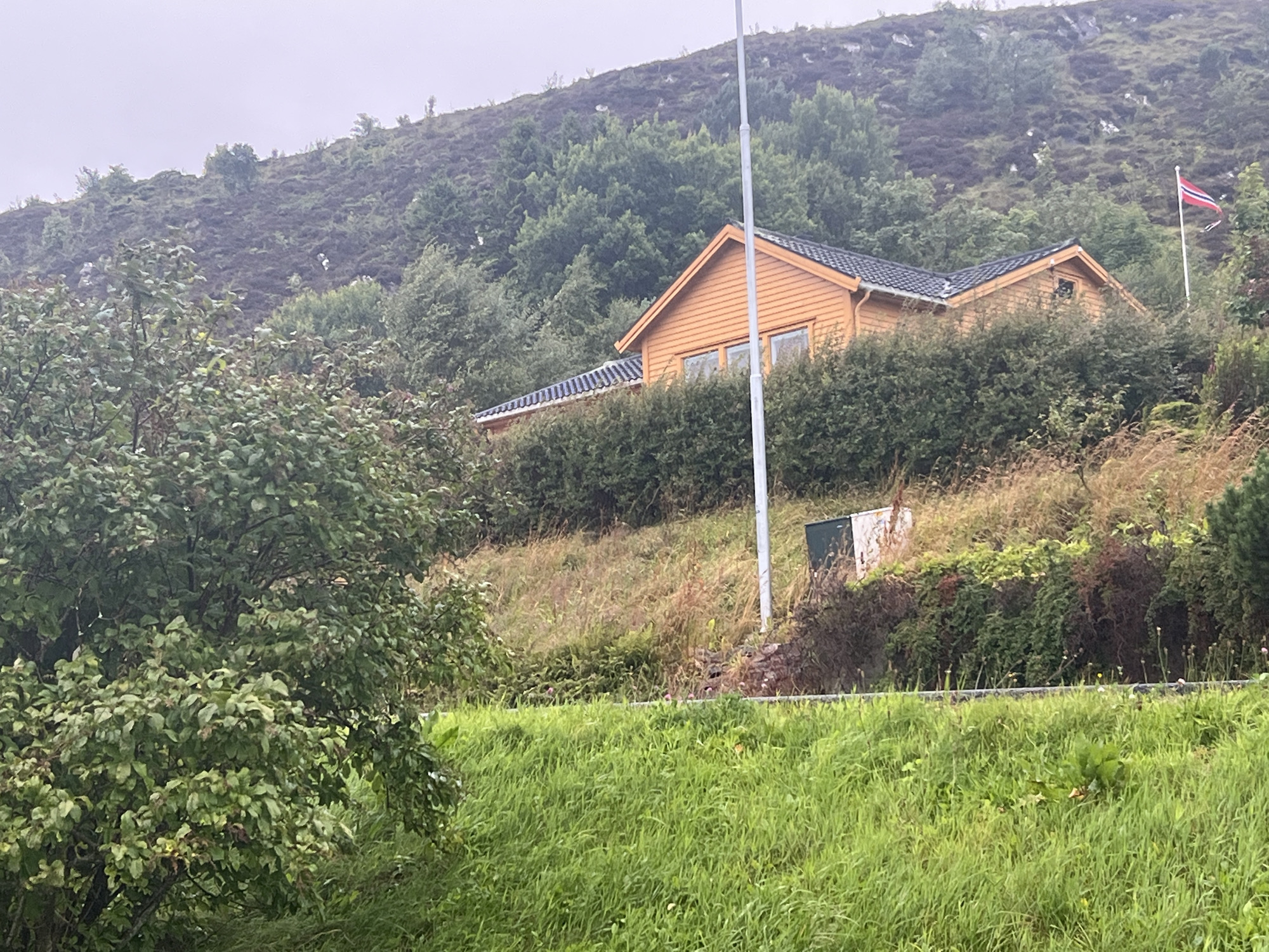 The image depicts a residential house nestled into a hillside in Fosnavåg, Norway. The house is constructed with wooden siding, painted a warm orange hue, and features a dark-tiled roof. Two windows are visible on the side facing the viewer. The house is partially obscured by lush green hedges.
The hillside behind the house is covered in dense green trees and scrub. A flagpole with a Norwegian flag, red with a blue cross outlined in white, is positioned to the right of the house. In the foreground, a steep grassy embankment is covered in vibrant green grass, with some patches of dry vegetation and scattered small plants. A tall, grey utility pole stands vertically on the slope between the house and the foreground. A small, dark green and white box-like structure is located on the hillside near the utility pole. The sky is overcast, suggesting a cloudy or rainy day. The overall scene is one of a rural or semi-rural setting, characteristic of coastal Norway.