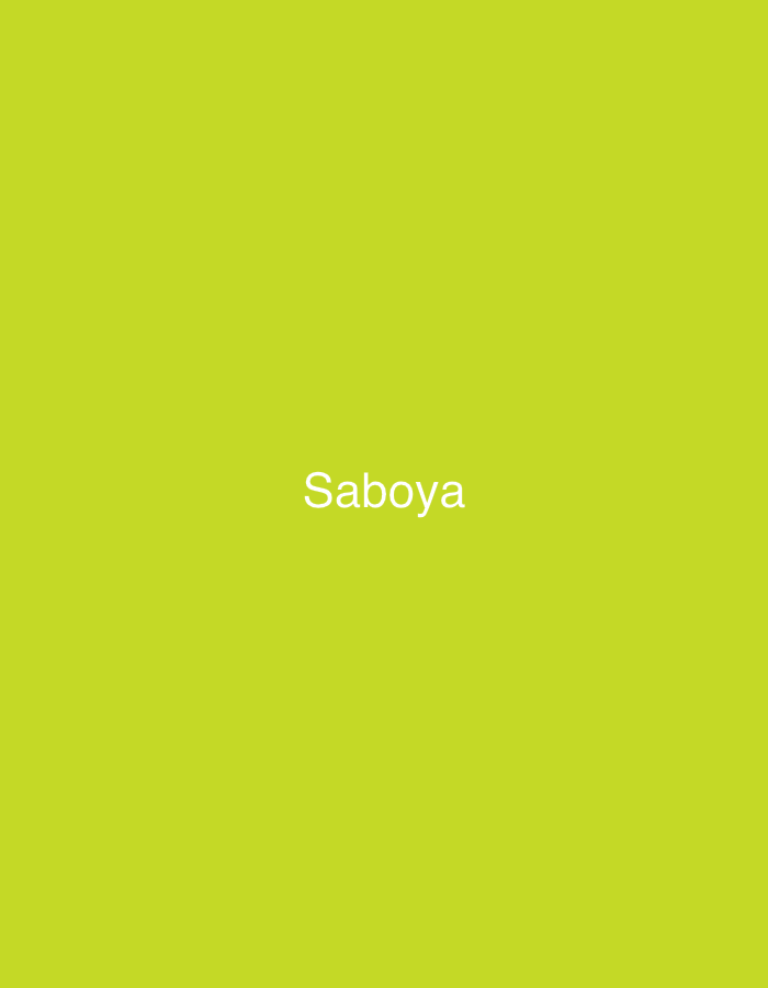 The media file displays a minimalist, static image with a solid lime green background. There are no visible people, objects, or a discernable real-world scene or setting. The dominant feature is white text centrally placed on the green background, which reads "Saboya" in a sans-serif font. The color of the background is a bright, vivid green, and the text is a clean white, providing a clear contrast. There is no activity or event taking place, as the image is purely a graphic with text. No specific time of day, weather, or emotional cues can be inferred from the image content. While the provided context suggests Santa Ana, Venezuela, there are no visual elements within the image itself to support or contradict this geographical location. The cropped images confirm the presence and nature of the "Saboya" text on the lime green background, showing it in various corner positions, but the original image clearly presents it in the center.