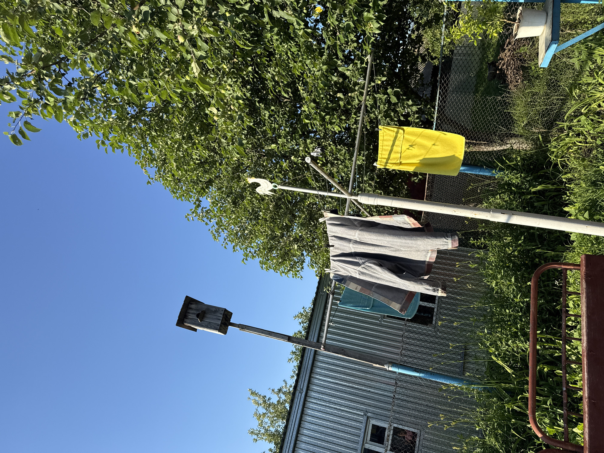 In a rural outdoor setting under a clear blue sky, a weathered wooden birdhouse stands on a tall pole to the left of the frame. Below it, a clothesline strung between poles holds several items of laundry: a folded blue towel, a grey jacket, and a bright yellow towel. A white metal rooster weather vane is perched atop the clothesline pole. In the background, a corrugated metal structure, possibly a shed or outbuilding, is visible, with a chain-link fence running in front of it. Dense green foliage, including trees and tall grass, dominates the lower and right portions of the image. A portion of a red metal bench or frame is in the foreground, and to the far right, a small potted plant sits on a blue table. The scene suggests a domestic outdoor space likely in Verkhneyarkeyevo, Russia, on a sunny day.