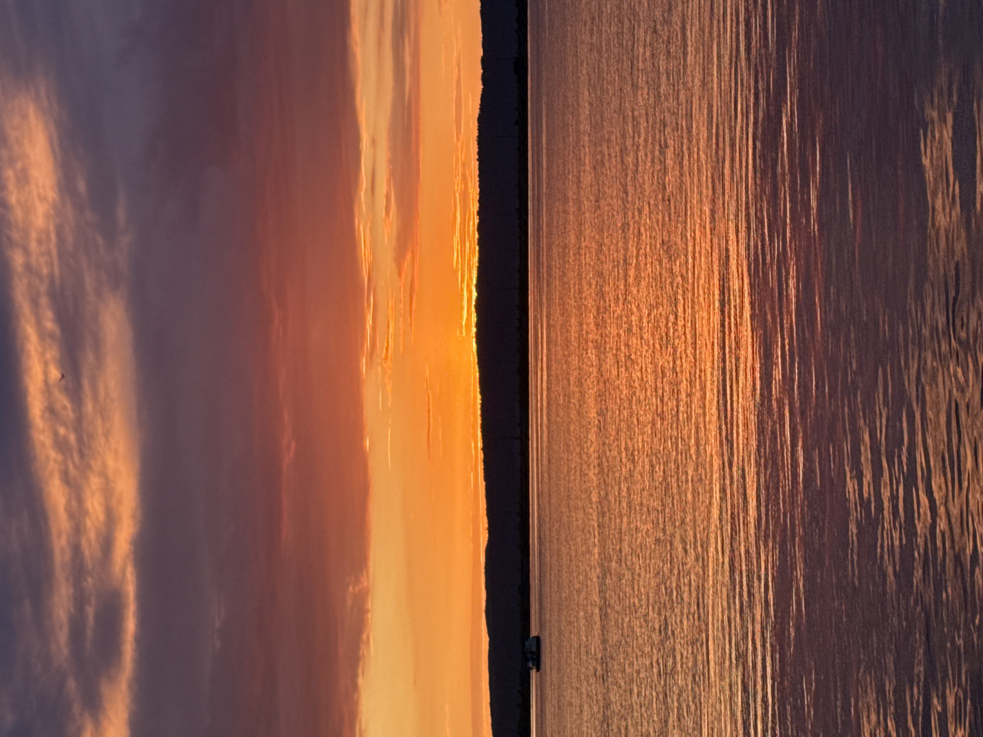 This is a vertical, eye-level, full shot of a lake at sunset. The sky is a gradient of deep purple and orange, with streaks of lighter orange and pink clouds. A faint silhouette of a bird is visible in the upper right portion of the sky. The horizon is a dark, silhouetted line of trees and land. In the lower left portion of the lake, there is a small, white houseboat. The water is a reflective orange and purple, with ripples that catch the light. The scene appears to be a serene natural setting, likely on a body of water in or near Chaikovsky, Russia.