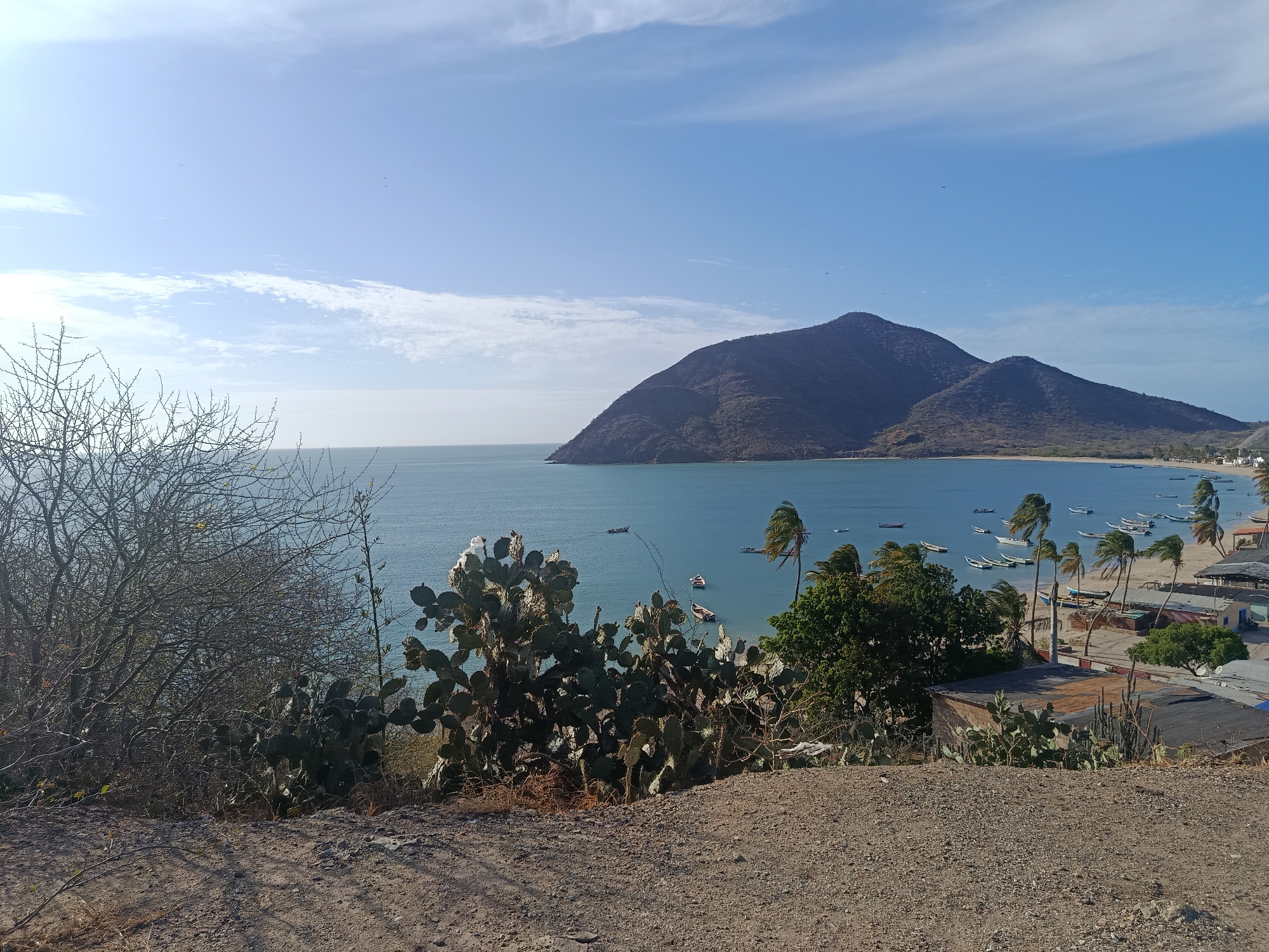 The image depicts a coastal scene in Juan Griego, Venezuela. The foreground consists of arid terrain with sparse vegetation, including cacti and leafless shrubs. Beyond this, a bay extends with calm, turquoise water. Several small boats are scattered across the bay. A coastline is visible with a sandy beach lined with palm trees, and a small village sits along the shore. In the background, two prominent mountains rise. The sky is clear blue with a few scattered clouds.