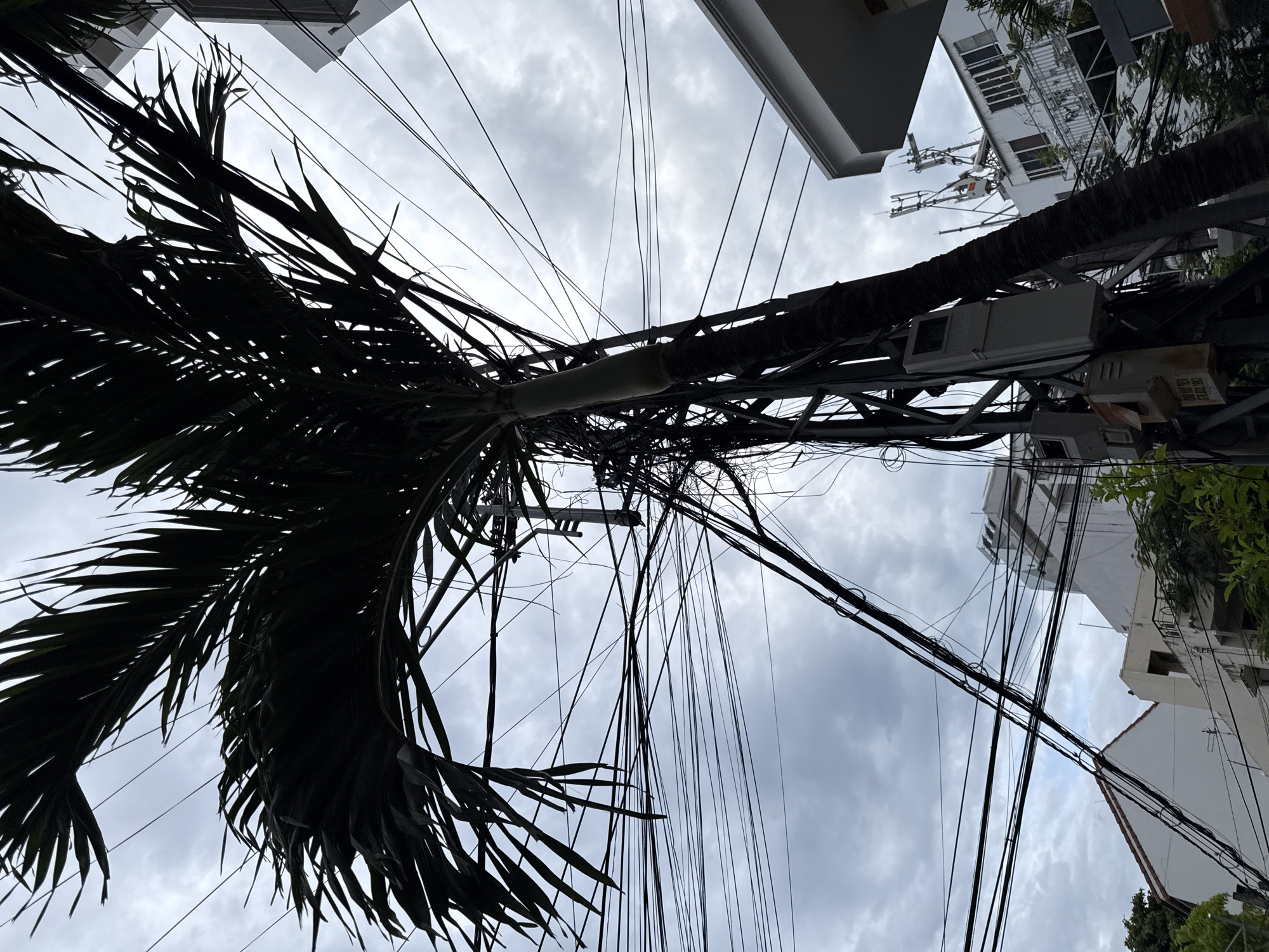 The image shows a low-angle view of a palm tree with its fronds silhouetted against a cloudy sky. The tree is situated amidst a dense network of electrical and telecommunication wires, which are supported by metal poles. These poles are equipped with various junction boxes and electrical meters. In the background, several multi-story buildings are visible, some with visible antennas on their rooftops. The architectural style suggests an urban environment, likely in Nha Trang, Vietnam, given the prevalence of palm trees and such overhead wiring systems in coastal Vietnamese cities. The scene appears to be captured during daylight, under an overcast sky. There are no people or animals present in the frame.