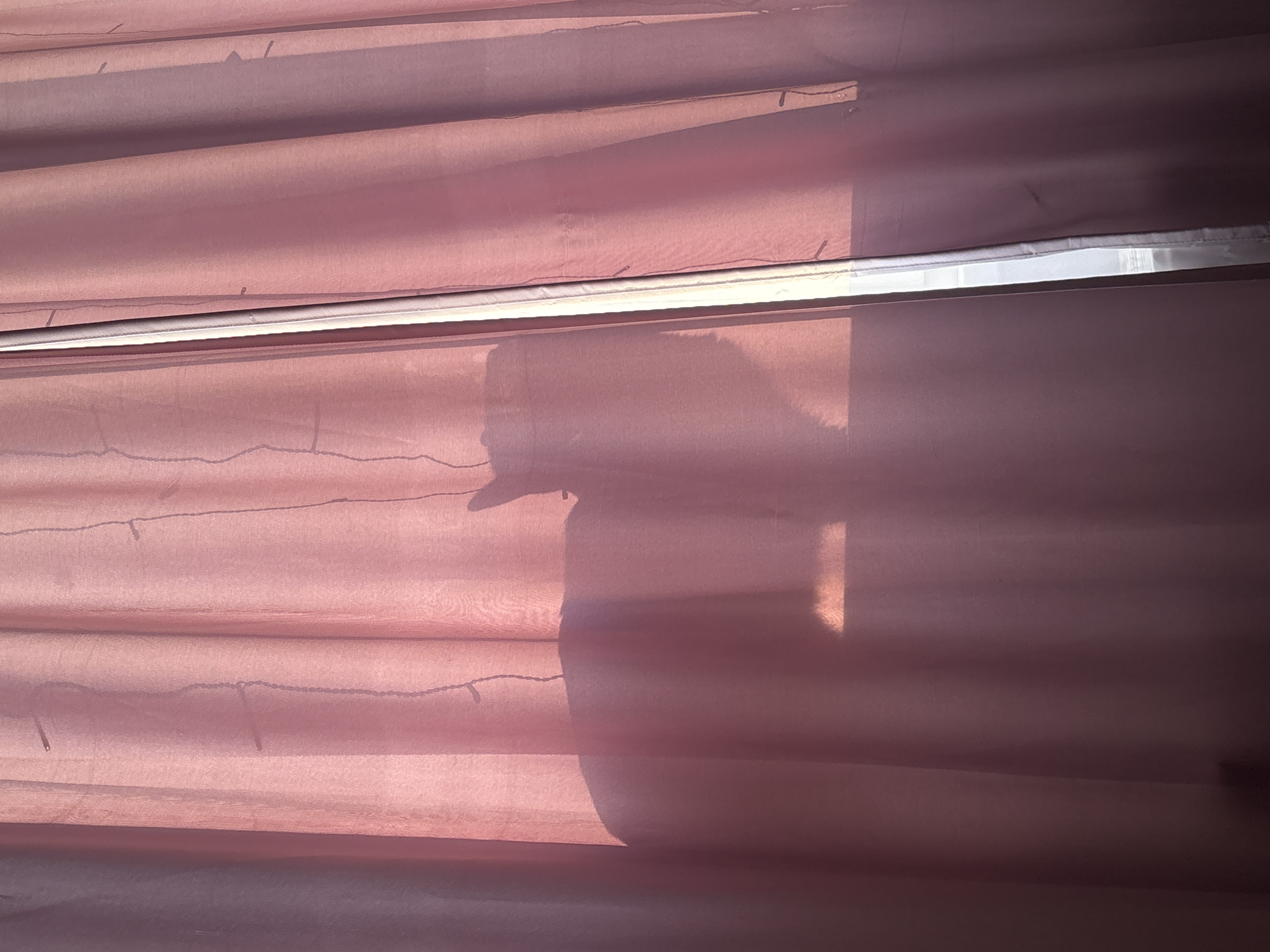 The image features a close-up view of pinkish-purple sheer curtains, brightly illuminated by natural light. A prominent, dark shadow of a person's head and upper body is cast onto the fabric, dominating the left-central portion of the frame. The shadow's profile suggests the person might be wearing a hat or a distinct hood. Bright sunlight streams through a horizontal gap, likely a window frame or between curtain panels, creating a stark white line across the upper middle of the image. A distinct, rectangular patch of direct light is also visible on the right side, cutting across the shadow and curtains. Through the translucent curtains, subtle dark, wavy lines with small dot-like protrusions are visible, characteristic of string lights draped behind the fabric. The scene is set indoors during the daytime, with clear indications of a sunny environment outside, given the sharp shadows and direct light. No text is visible in the image. The location context is Sinyavino, Russia.