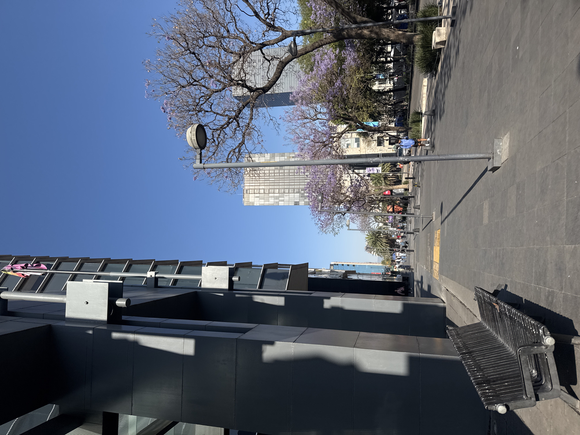 The image depicts a street scene in Mexico City, Mexico. A gray building occupies the lower left of the frame, with a sidewalk extending to the right. A black metal bench sits on the sidewalk next to the building. Several people are walking along the sidewalk. Trees with purple blossoms line the street. In the background, multiple buildings of varying heights can be seen under a clear blue sky. Street lights stand along the edge of the sidewalk.