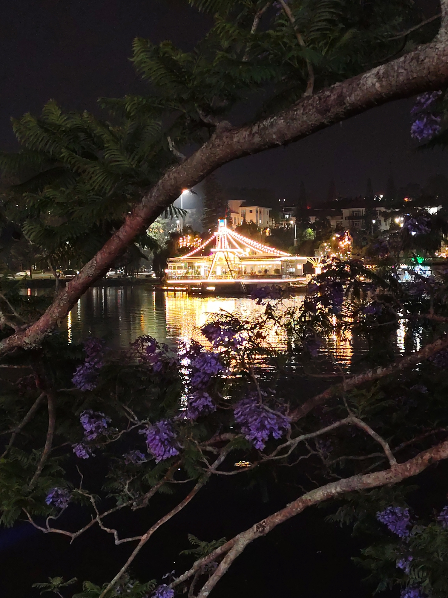 The image captures a serene nighttime scene in Da Lat, Vietnam, featuring a brightly lit building reflected on a calm body of water, framed by the branches of a tree bearing purple flowers.
In the foreground, the thick, textured branches and dark green foliage of a tree dominate the view, extending from the upper left and right, and diagonally across the mid-section. Clusters of vibrant purple flowers, likely Jacaranda, are visible among the leaves and hanging from the branches, particularly in the lower left and right portions of the image.
The mid-ground is occupied by a tranquil lake or pond. Its dark surface acts as a mirror, reflecting the dazzling yellow and orange lights of a large structure situated on the opposite bank. The reflections create elongated, shimmering streaks of light that ripple softly on the water.
In the background, across the water, a prominent, pavilion-like building is illuminated with numerous string lights, creating a festive and inviting glow. These lights outline its roof and structure, suggesting it might be a restaurant, cafe, or event venue. Beyond this brightly lit building, the dark silhouettes of other houses and buildings can be seen on a distant shore or hillside, with occasional streetlights piercing the darkness. The sky above is a deep, dark black, typical of night.
There are no people visible in the image. The atmosphere is one of peaceful nocturnal beauty, highlighted by the interplay of artificial lights and natural elements. No visible text is present in the scene.