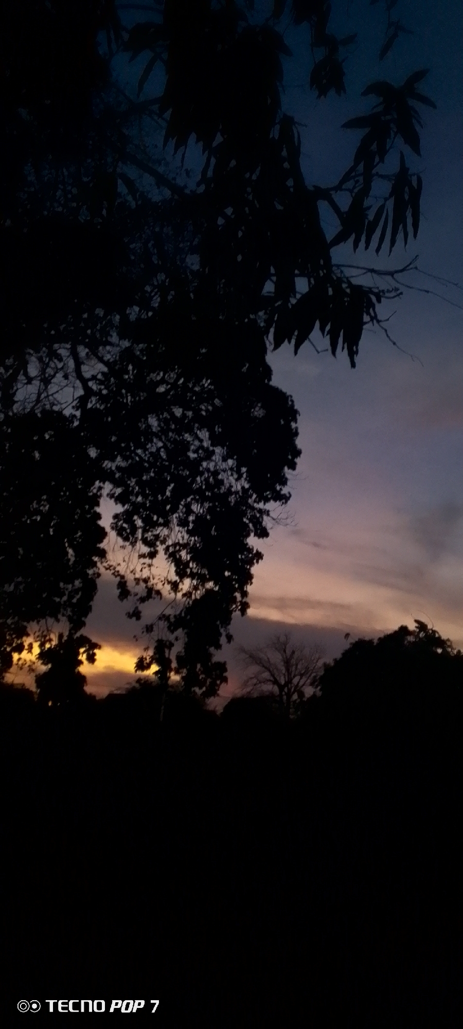 The image shows a sunset in Altagracia, Venezuela. The sky is a mix of blue, purple, and orange. Silhouettes of trees are visible in the foreground and middle ground. The ground in the foreground is dark. The image includes the text "TECNO POP 7" at the bottom left corner.