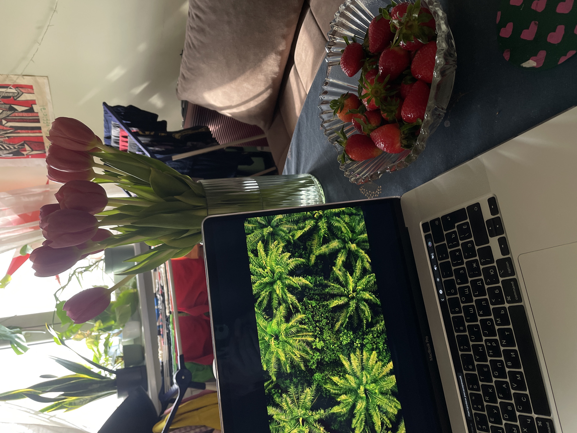 The image depicts a casual, indoor scene. A laptop, partially open with a screen displaying a green palm tree image, sits on a table. Next to the laptop is a glass bowl filled with fresh strawberries. A vase containing a bouquet of pink tulips is positioned near the laptop and strawberries. In the background, there is a portion of a beige couch and some clothing items hanging, possibly on a rack or chair. The presence of tulips suggests it might be spring or early summer.
The image is taken indoors, but I can't determine the location in the city of Belgrade, Serbia, from the image.