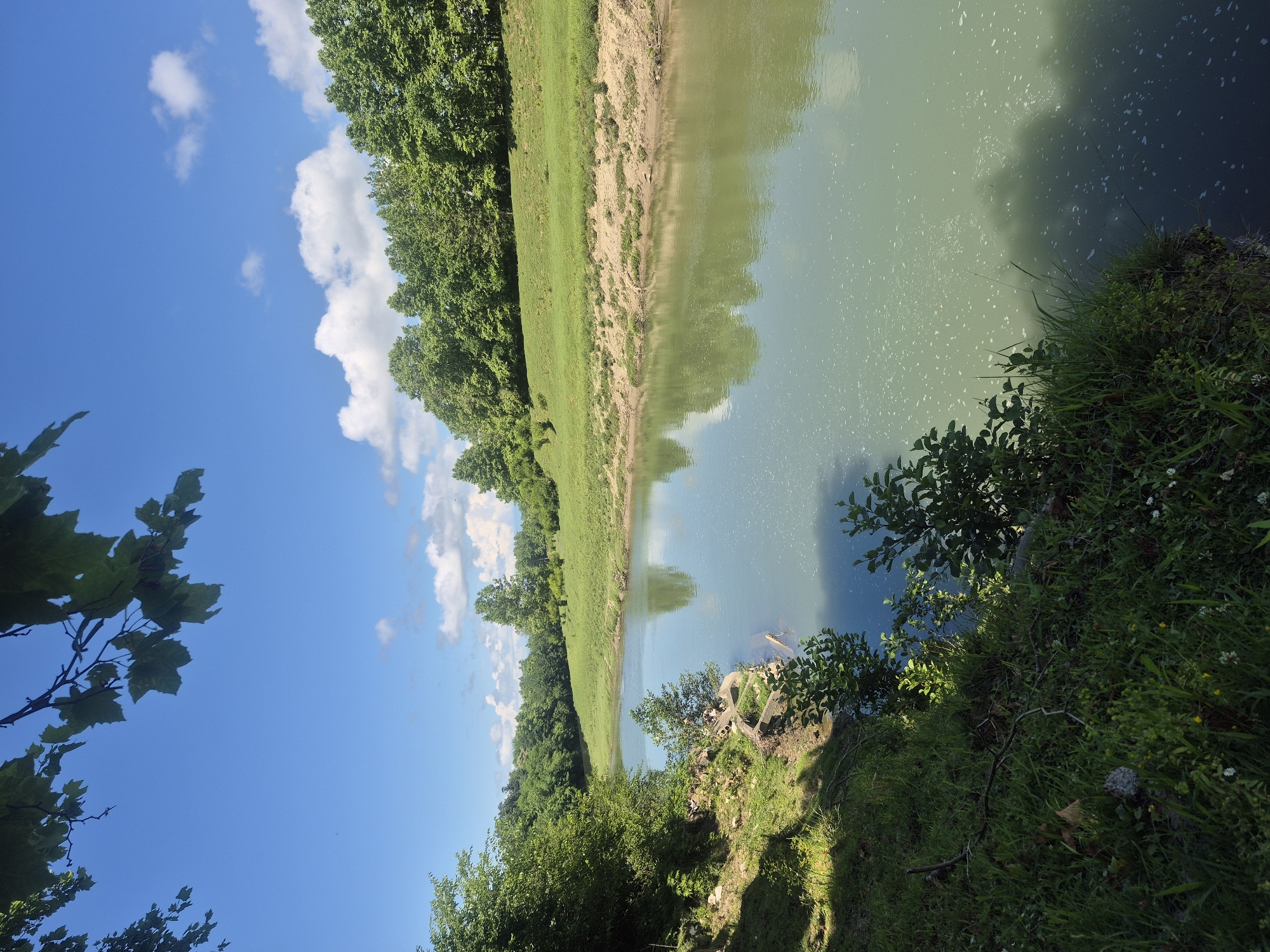 The image depicts a serene natural landscape, likely a riverbank, bathed in the bright light of day under a blue sky dotted with scattered white clouds. The foreground is dominated by lush green grass and vegetation, with some fallen leaves and a small, fallen branch visible on the ground. To the left, a dense growth of trees creates a shaded area.
The river itself occupies a significant portion of the frame, its surface a muted green, reflecting the sky and the surrounding greenery. Small white specks, possibly foam or debris, are scattered across the water. The riverbanks are mostly covered in grass, with some areas of exposed earth and small concrete structures, perhaps remnants of past construction, on the left bank.
In the middle ground, the river curves gently, with grassy slopes rising on either side. A line of dense, green trees forms a distant backdrop, creating a sense of depth. The overall impression is one of tranquility and natural beauty. While the image does not provide explicit clues to its exact location within Darcheli, Georgia, it suggests a rural or semi-rural setting characteristic of the region's natural scenery. There are no people or animals visible in the image.