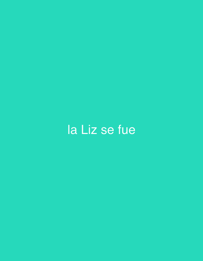The image features white, sans-serif text centrally displayed on a solid, vibrant teal background. The text reads "la Liz se fue," which translates from Spanish to "Liz left" or "Liz is gone." There are no visible people, objects, or specific environmental details beyond the text and the monochromatic background. The image functions as a textual graphic or statement. The overall tone is simple and direct, conveying a message without visual adornment. This media file is associated with the location context of Santa Ana, Venezuela.