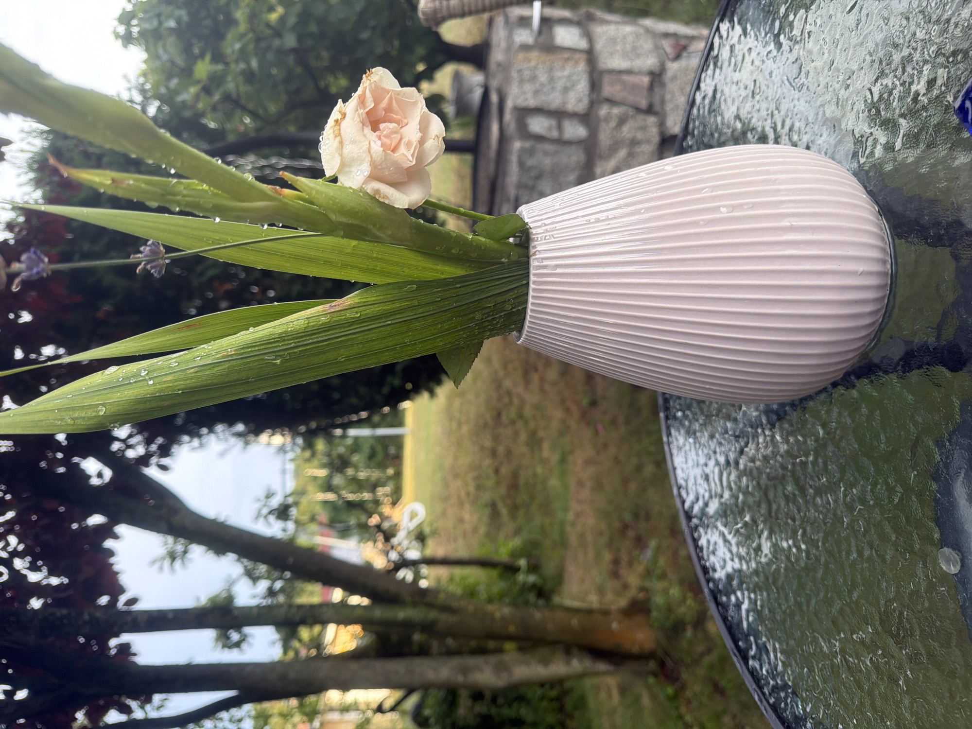 The image depicts a pale pink, ribbed vase containing greenery and a single, partially opened light peach-colored rose. Water droplets are visible on the leaves and the vase, suggesting recent rain. The vase rests on a round, dark-colored glass-topped table with a textured surface, also wet. In the background, trees with dark foliage frame the scene, and a stone structure resembling a well or a garden feature is visible. The setting appears to be an outdoor garden or patio area. The location is identified as Międzyzdroje, Poland. There are no people or animals present in the image.