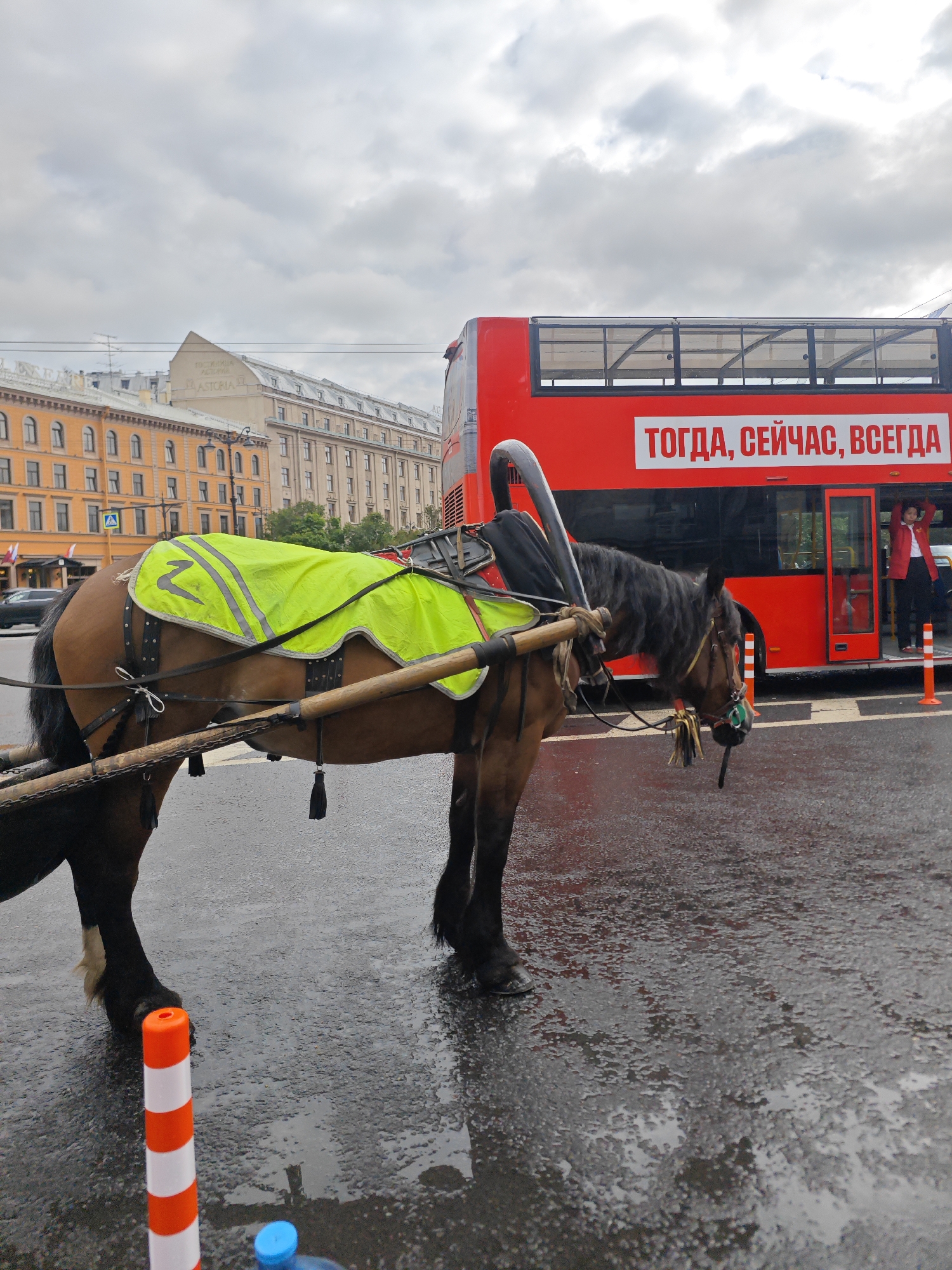 A brown horse harnessed to a carriage stands on a wet, paved street in Saint Petersburg, Russia, with a red double-decker bus in the background. The horse is wearing a bright yellow, reflective blanket with a "Z" logo. The bus has Russian text on its side that reads "TODAY, NOW, ALWAYS". A person in a red jacket and black pants is visible standing in the open doorway of the bus, with their arms raised. Two orange and white traffic cones are placed on the street, and a blue water bottle cap is visible in the foreground. The sky is overcast with grey clouds. In the background, there are several historic buildings, including one with the name "ASTORIA" visible at the top.