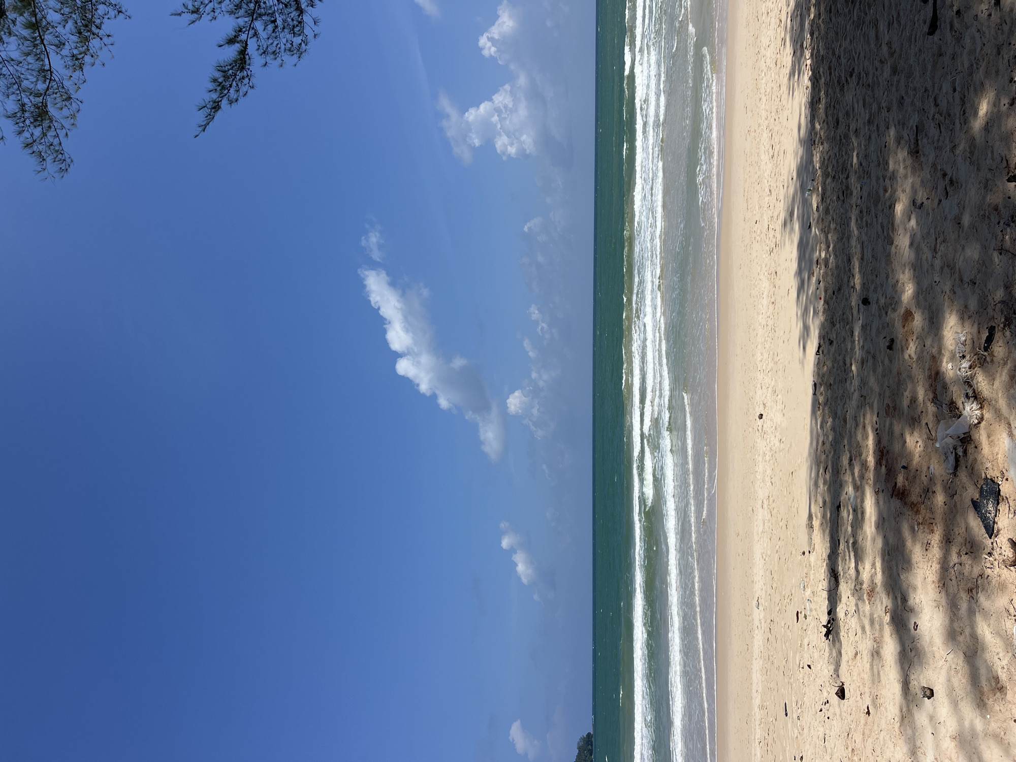 The image depicts a serene beach scene in Choeng Thale, Thailand. The foreground is dominated by a sandy beach, partially covered by dappled shade from unseen foliage. Scattered on the sand are various pieces of debris, including dried leaves, twigs, and some unidentifiable plastic fragments. The middle ground features the ocean, with gentle waves rolling towards the shore, creating white foamy lines as they break. The water is a deep, rich green, contrasting with the lighter tan of the beach. The horizon is marked by the meeting of the sea and a clear, vibrant blue sky, dotted with scattered white clouds. In the far distance, a faint outline of land, possibly a headland, is visible to the left. The upper right corner of the image shows a few branches and needles of a coniferous tree, framing the sky. The overall impression is one of a natural, tranquil coastal environment, though the presence of litter suggests human impact.