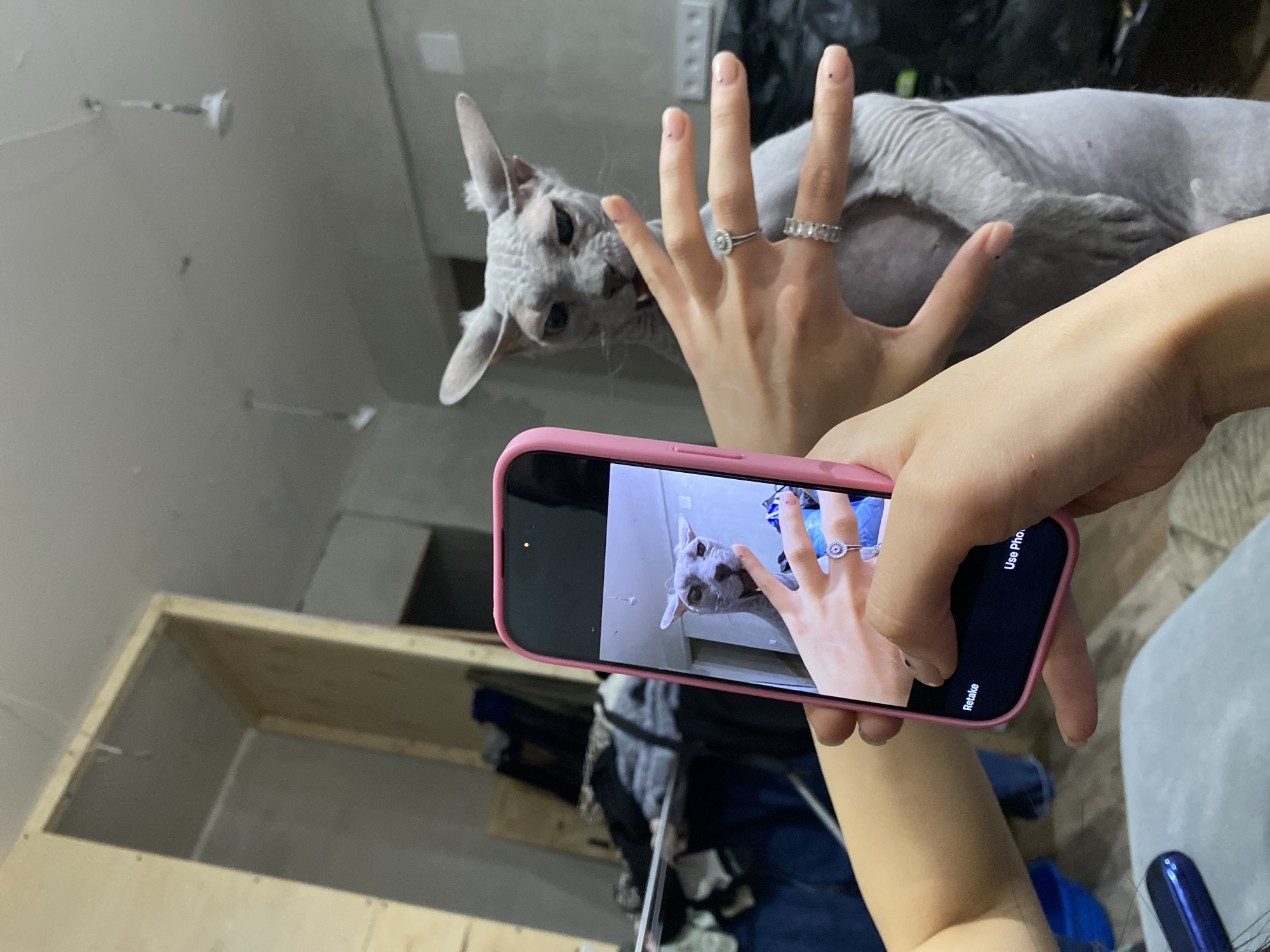 This photograph captures a recursive visual, often known as the Droste effect, where a scene is photographed with a phone that is itself displaying the image being captured. The primary subject is a light grey Sphynx cat interacting with a human hand.
In the foreground, an arm and hand, belonging to the person taking the main photo, holds a pink-cased smartphone. The phone's screen displays a real-time view of the scene, showing the cat and the other human hand.
The central focus is the hairless Sphynx cat, with large ears and light-colored eyes, positioned close to a human hand. Its mouth is slightly open, suggesting a playful or curious interaction with the fingers. The visible hand, likely belonging to another person, is adorned with two rings: a circular halo-style ring on the ring finger and an eternity band on the middle finger. The nails are painted light pink with small black dots.
The background indicates an indoor setting, possibly a room undergoing renovation or with unfinished elements. Features include a light-colored wall or ceiling with exposed electrical wires or fixtures, and a wooden frame structure or shelving unit in the lower right. Dark, possibly cluttered, objects are visible in the deeper background.
On the pink smartphone's screen, visible text elements include "Use Pho" (likely "Use Photo") in the top right corner and "Retake" in the bottom left, indicating camera interface options. The image conveys a casual, playful moment between a pet and a human, captured with a creative photographic approach. The lighting suggests daytime ambient indoor conditions. The image does not contain specific visual cues to its location, though it is contextualized as being from Votkinsk, Russia.