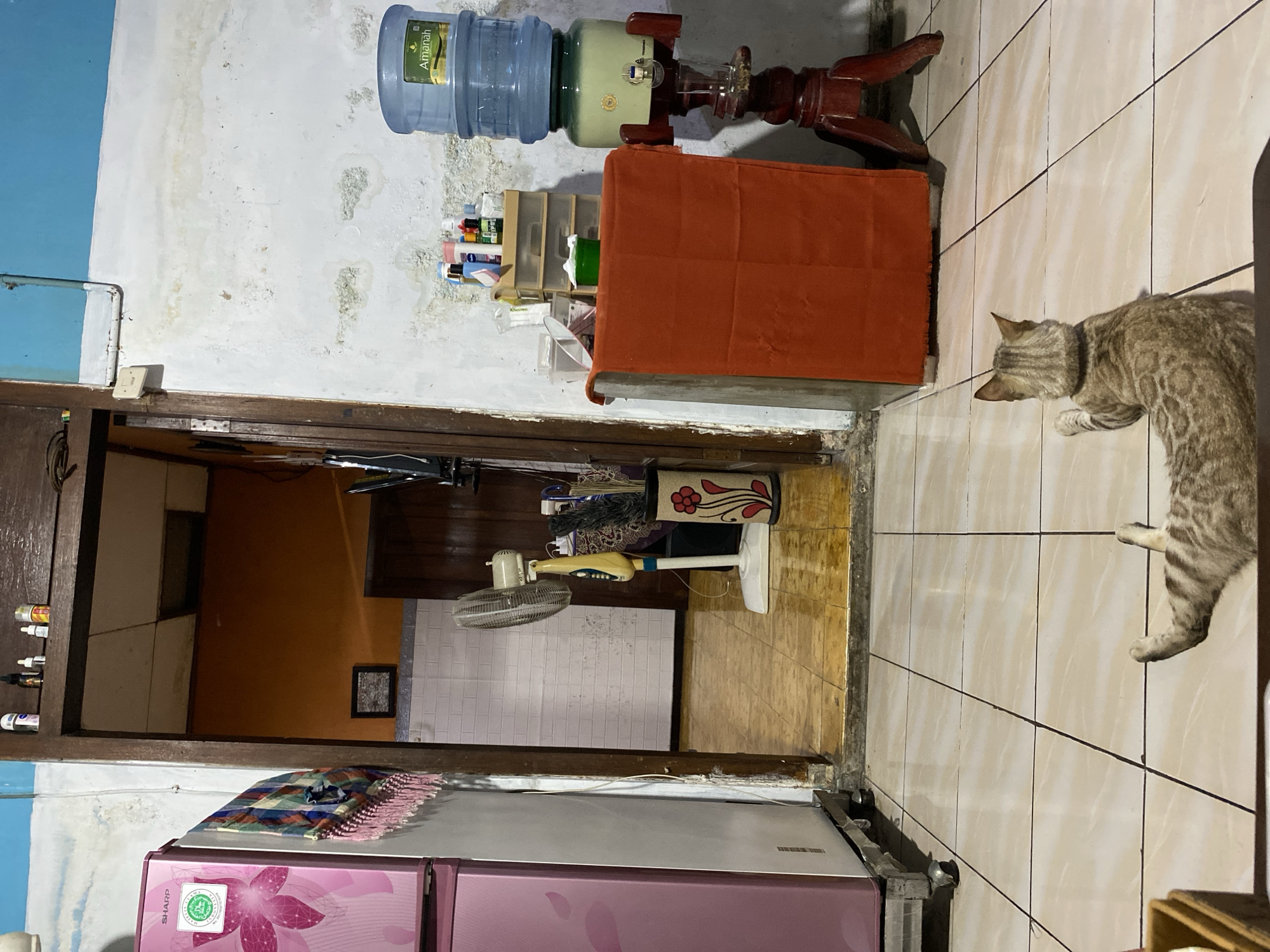 The image depicts an indoor domestic scene, likely a kitchen or utility area, with the characteristic tiled flooring and whitewashed, weathered walls common in many homes in Wonosari, Indonesia. In the foreground, a striped tabby cat lies on its side, facing away from the viewer and towards a doorway. The cat's hind legs are extended, and its tail is visible.
The doorway opens into another room, partially visible, with orange-painted walls and a white tiled lower section. A framed picture hangs on the orange wall. Further inside, a white standing fan with a yellow accent is present, and next to it, a vase holding what appears to be cleaning brushes or similar items.
To the right of the doorway, a water dispenser with a large blue water bottle on top is mounted on a dark red wooden stand. In front of the water dispenser, an orange cloth is draped over a small cabinet or table. A collection of bottles and containers is arranged on a shelf above this cabinet.
To the left of the doorway, a tall, pink refrigerator with a floral design is visible. A colorful, fringed textile is draped over its side. The overall impression is of a lived-in space with functional items and a relaxed feline occupant.