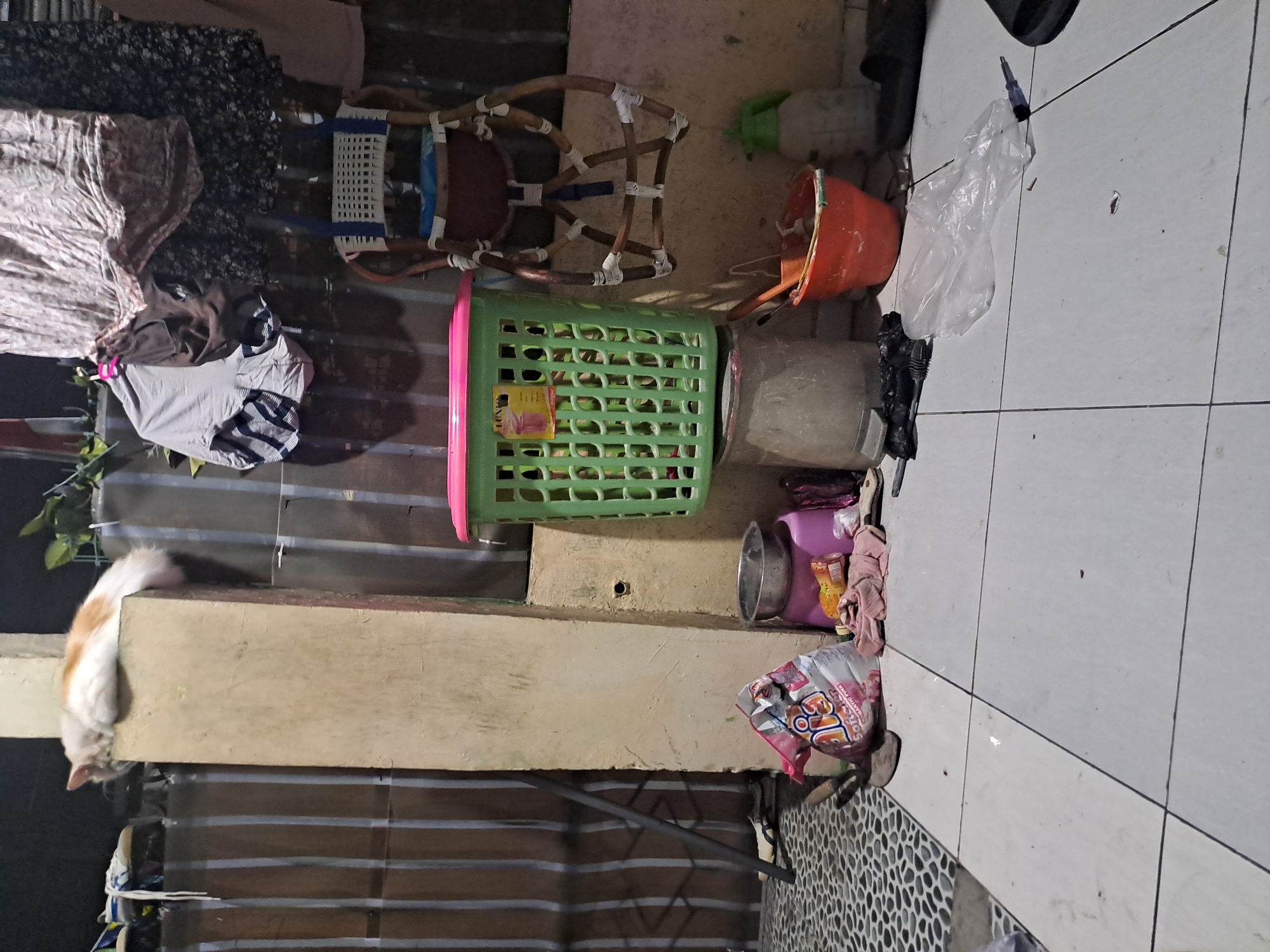 The image depicts an outdoor scene, likely a backyard or alleyway, in Kebonagung, Indonesia. A ginger and white cat is asleep on top of a light-colored rectangular pillar. To the right of the pillar, a green plastic laundry basket with a pink lid sits on top of a gray cylindrical object. In front of the basket, there's an orange bucket with some tools and a red bottle in it. Behind the basket and bucket, a chair with a white and blue woven seat is visible, and beyond that, various items of clothing are hanging on a clothesline. On the ground in front of the pillar, there's a pink stool with a metal bowl on top, a small bottle of liquid, and a pink rag. A crumpled plastic bag of detergent and a garden trowel are also on the ground near the pillar. The ground is tiled. The overall impression is one of a somewhat cluttered domestic outdoor space.