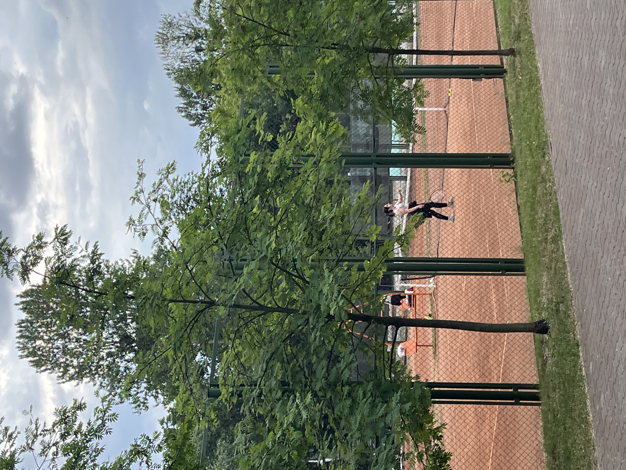 A tennis court with a clay surface is visible, surrounded by a green fence. Several trees with lush green foliage are positioned in the foreground and throughout the scene, some obscuring the view of the court. The sky is cloudy and overcast. On the tennis court, a woman is actively playing tennis. She is wearing a white sleeveless top and black leggings, holding a tennis racket in her right hand and a tennis ball in her left. Another person, partially visible and appearing to be seated, is present on a bench further down the court. Two tennis balls are visible on the court surface. The ground outside the court is paved with interlocking bricks and bordered by a strip of grass.