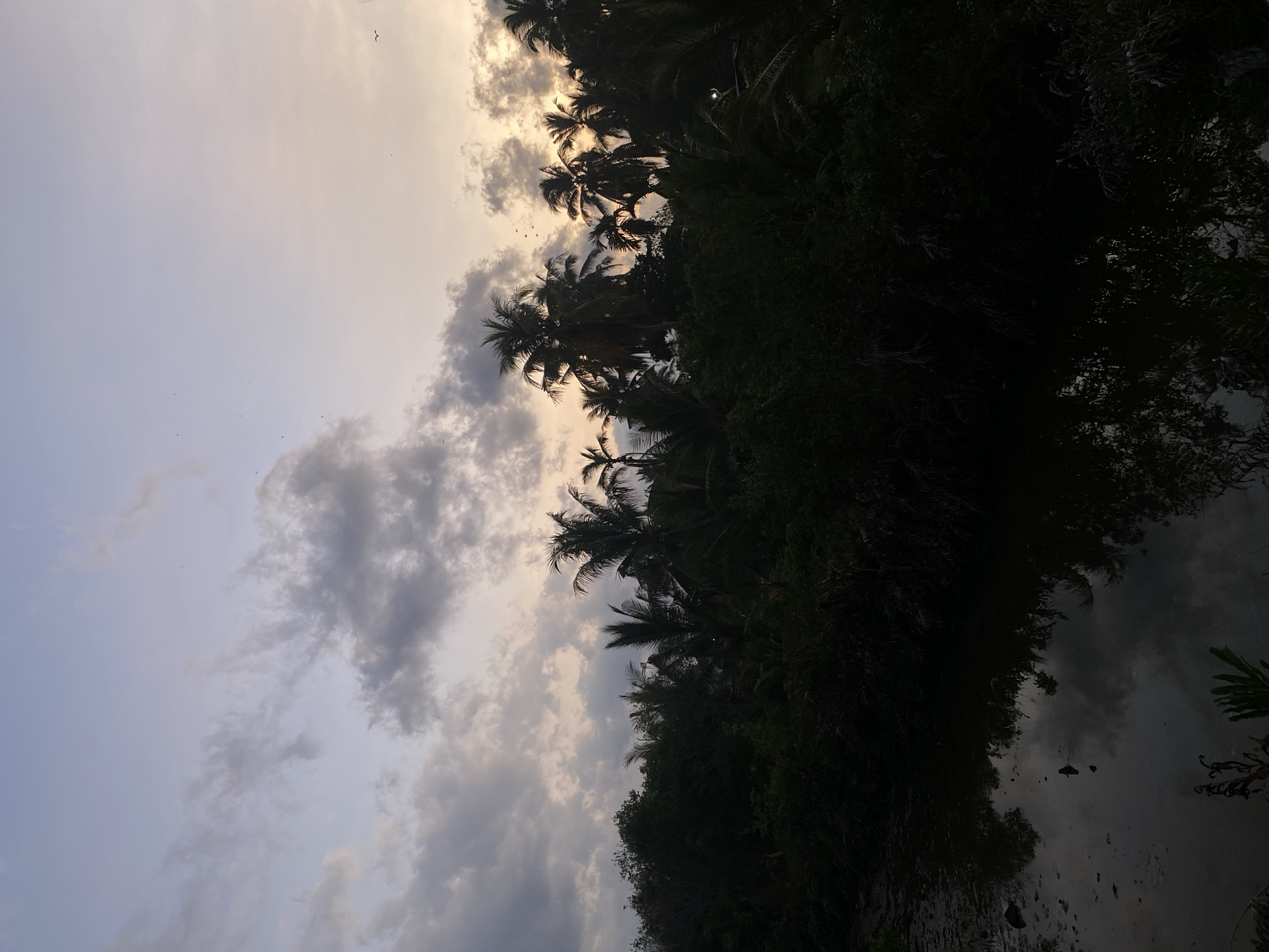 The image shows a low-angle view in Keudeublang, Indonesia, capturing a sky with scattered clouds and a line of silhouetted palm trees and other foliage against the fading daylight. The lower portion of the image reflects the scene in the water, appearing murky and dark. Several small birds are visible in the sky. The dominant color scheme is a mix of gray, white, and dark green.